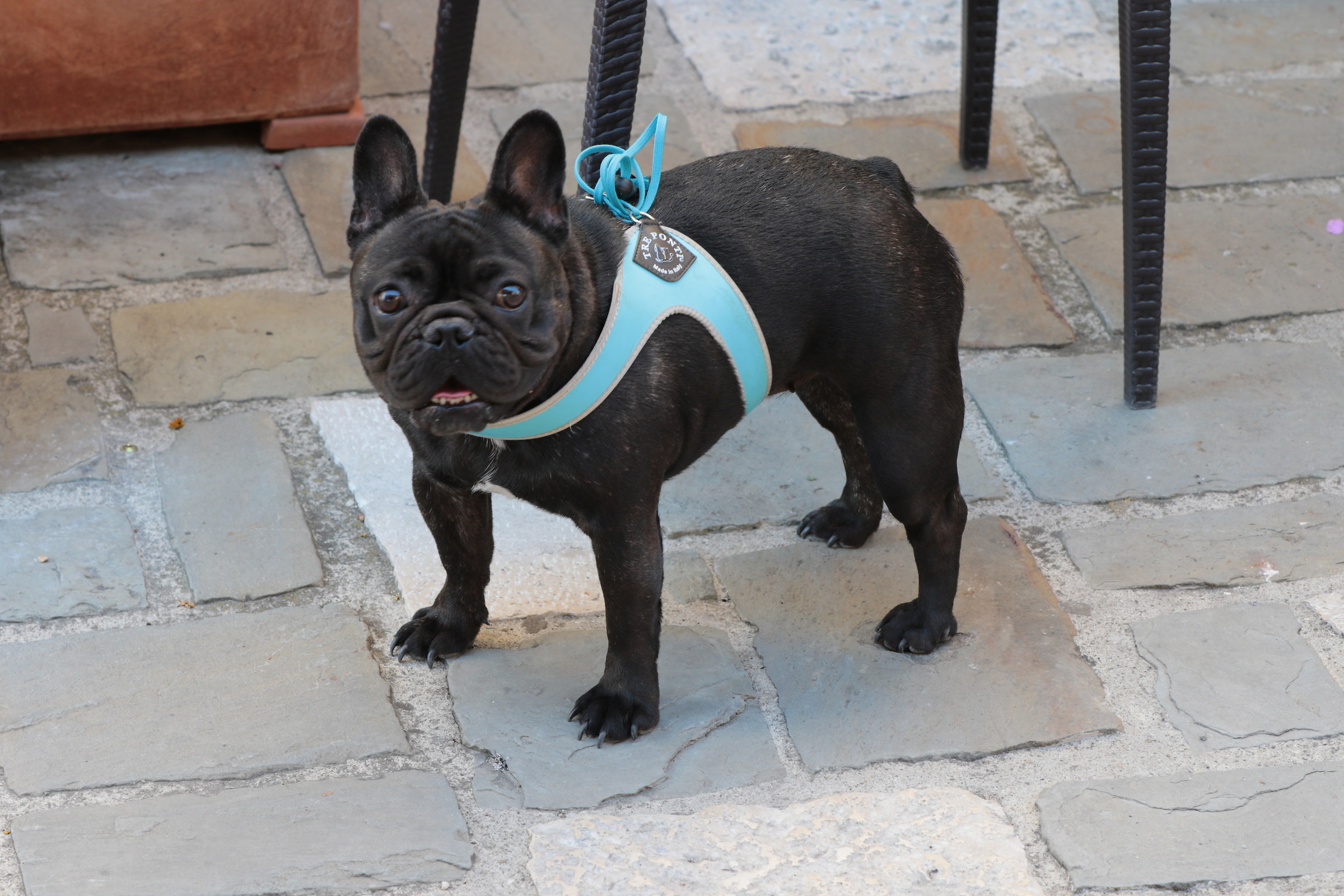 nobody will survive!