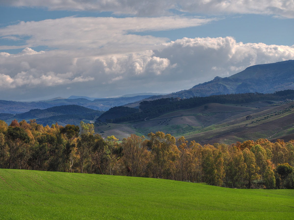 The colors of winter lands in Sicily.