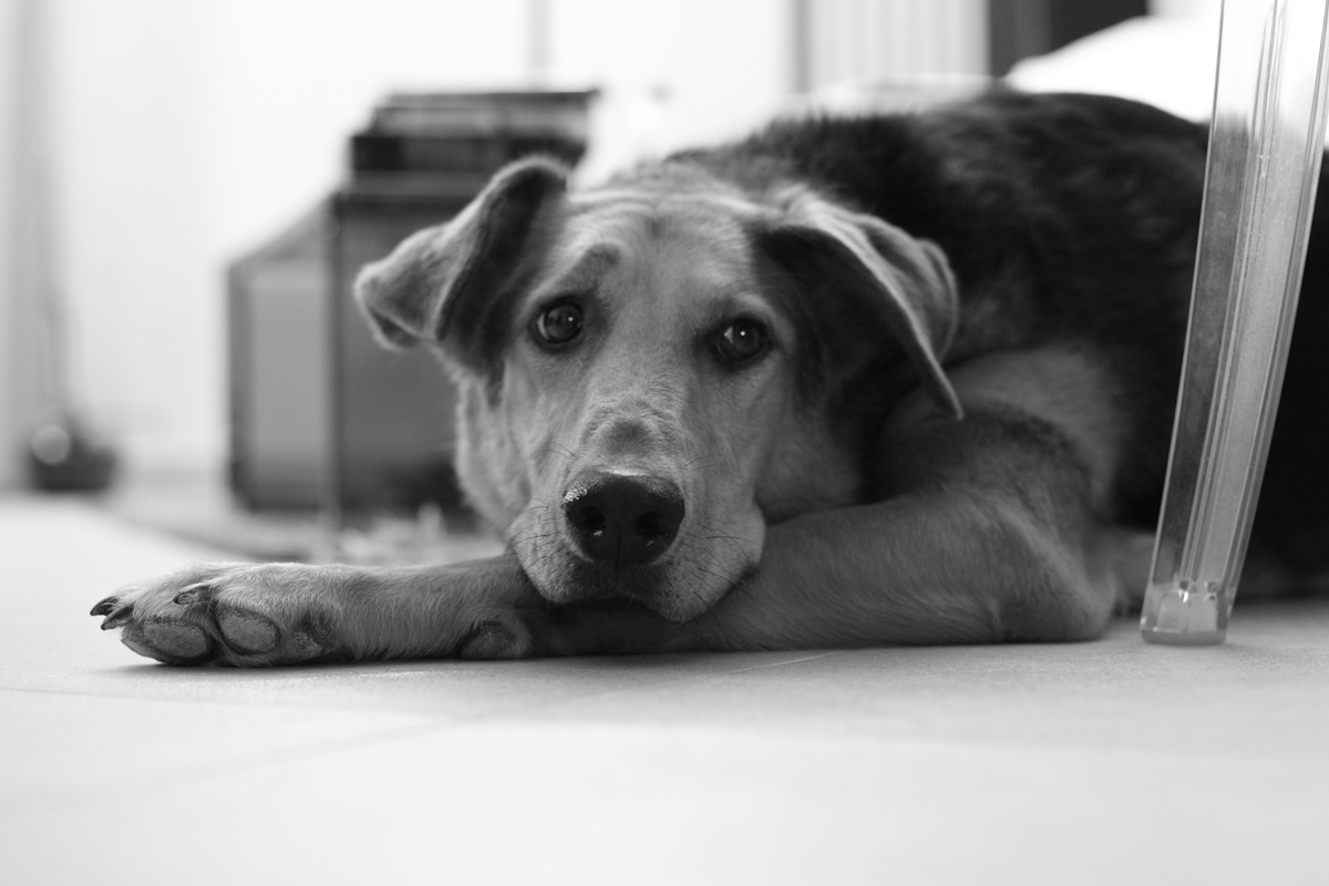 If you really want me to photograph ...