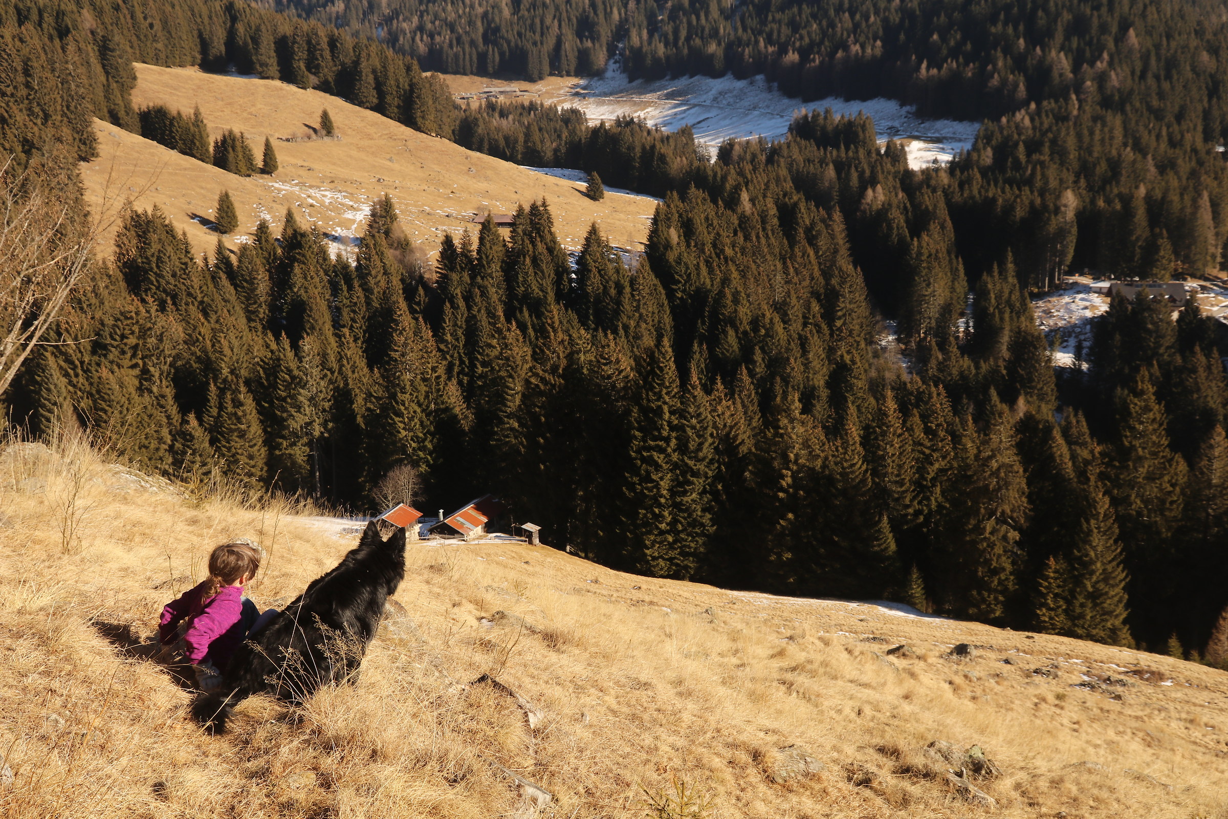 my daughter and the Wolf