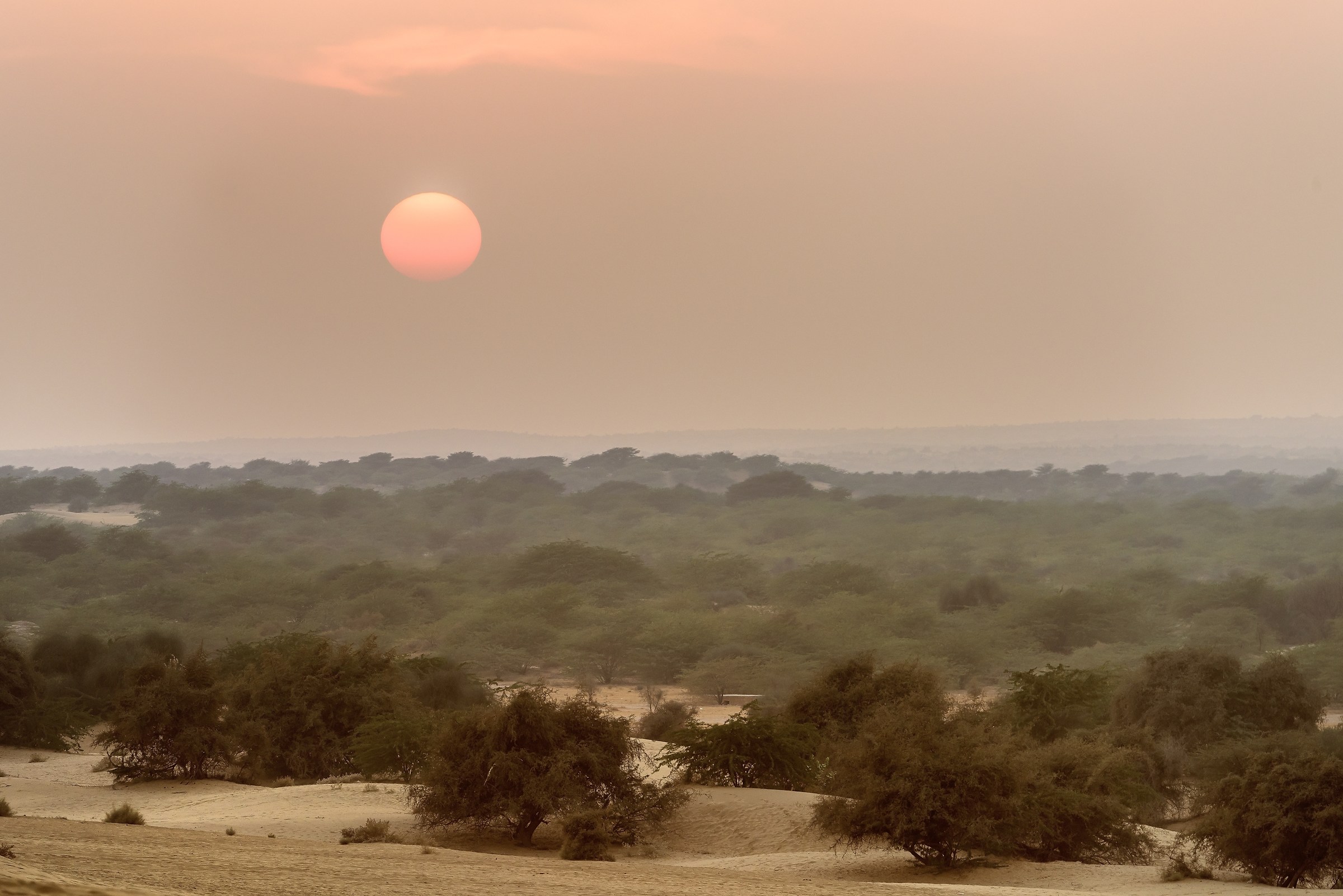 Rajasthan 2017 - Sunset at desert
