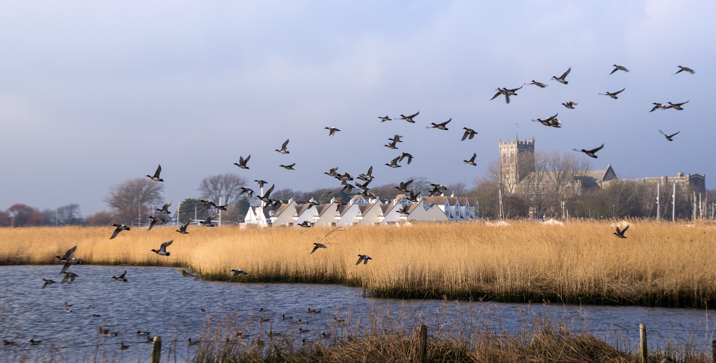 Fischioni Oltre Christchurch Priory
