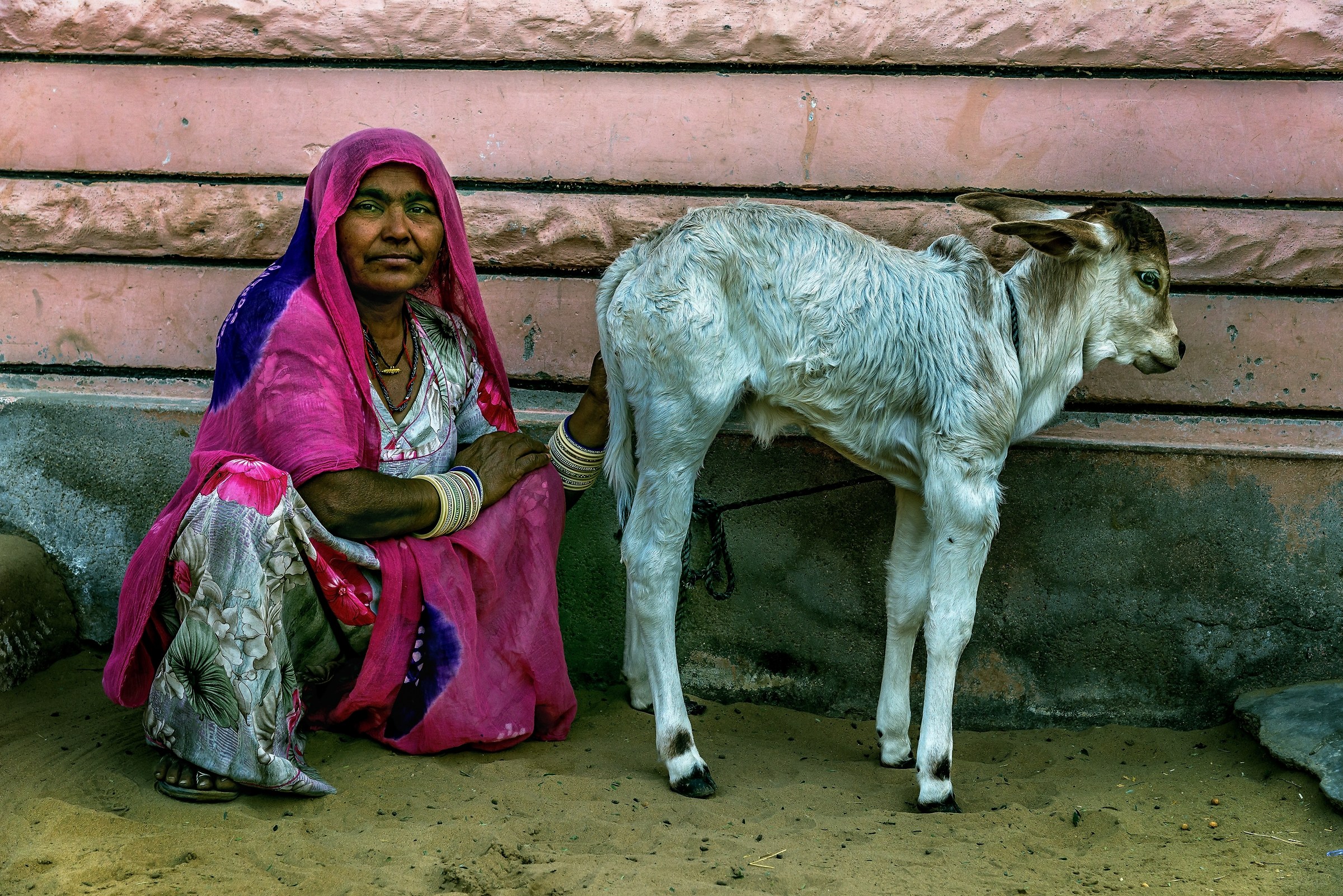 Rajasthan 2017 - In un villaggio rurale