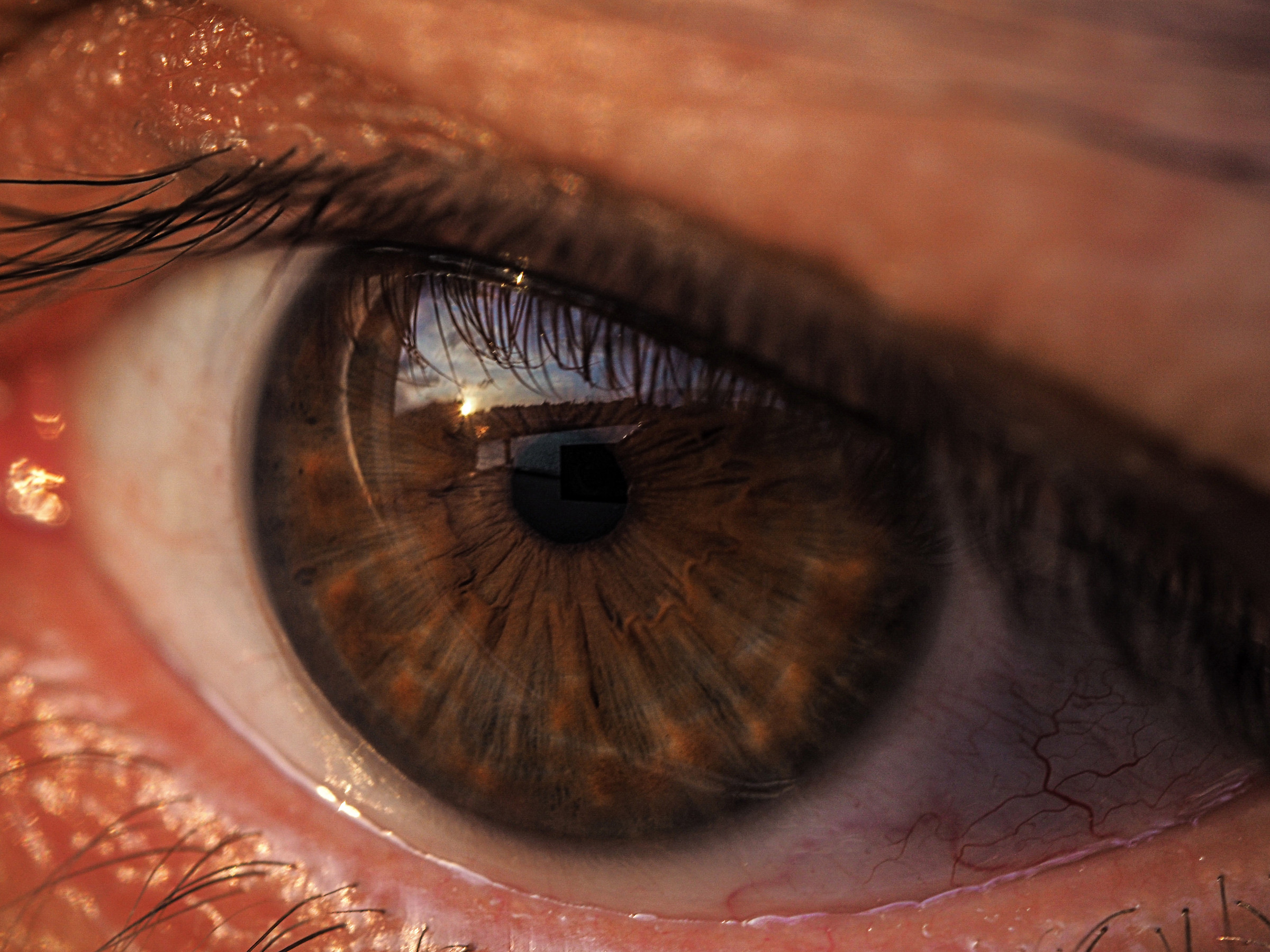 Uno sguardo al tramonto