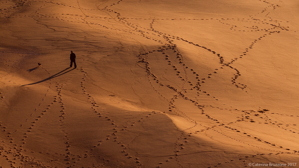 Four steps in the company