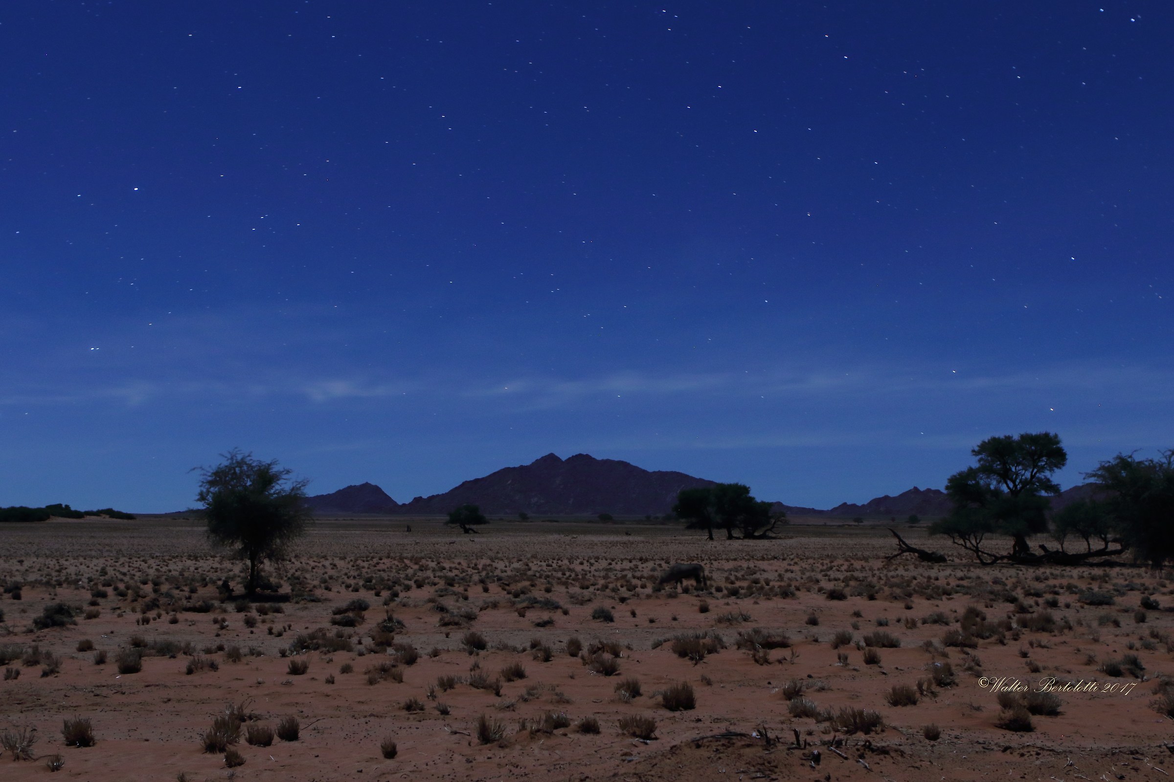 observing in the dark