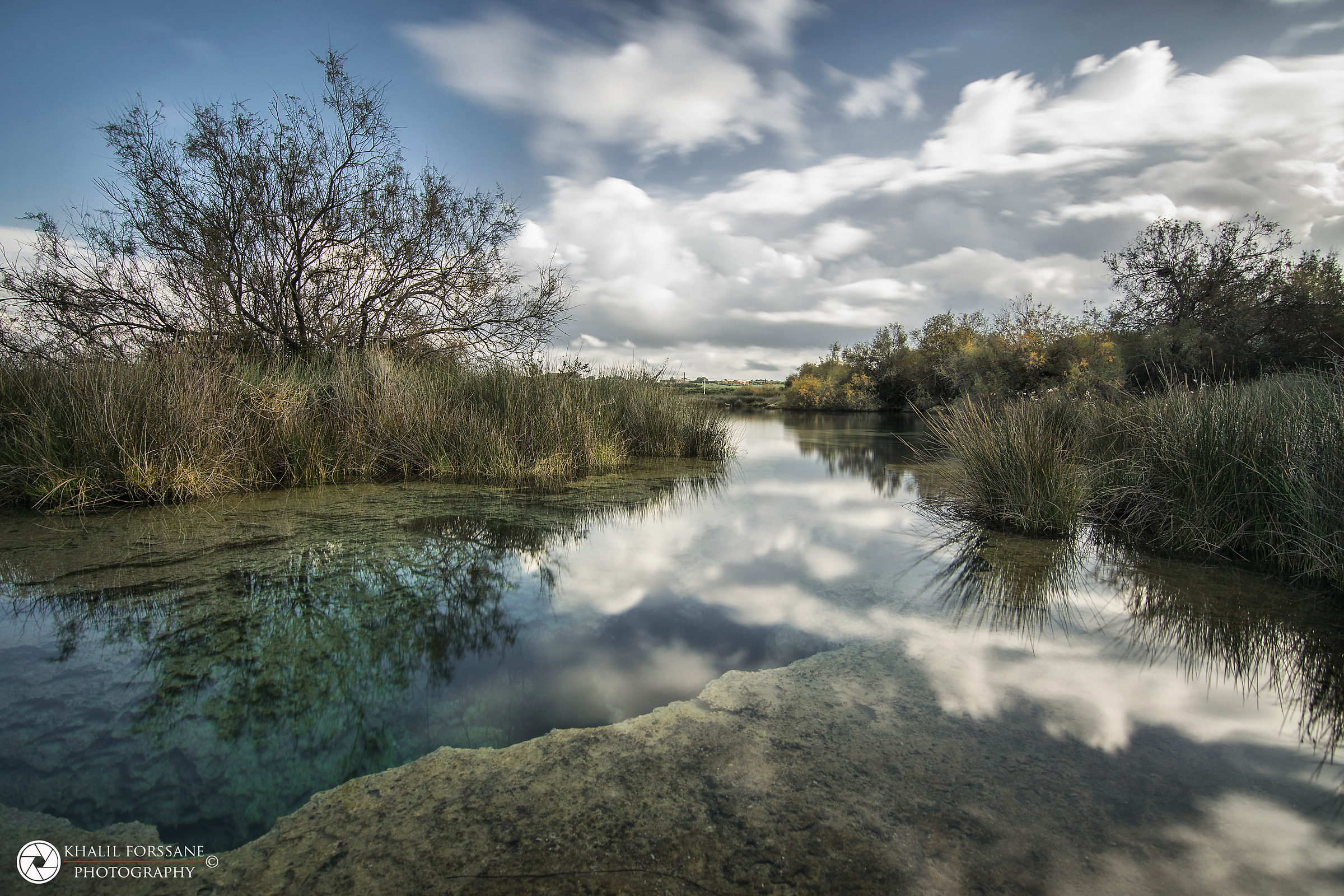 Riflessi sulla palude