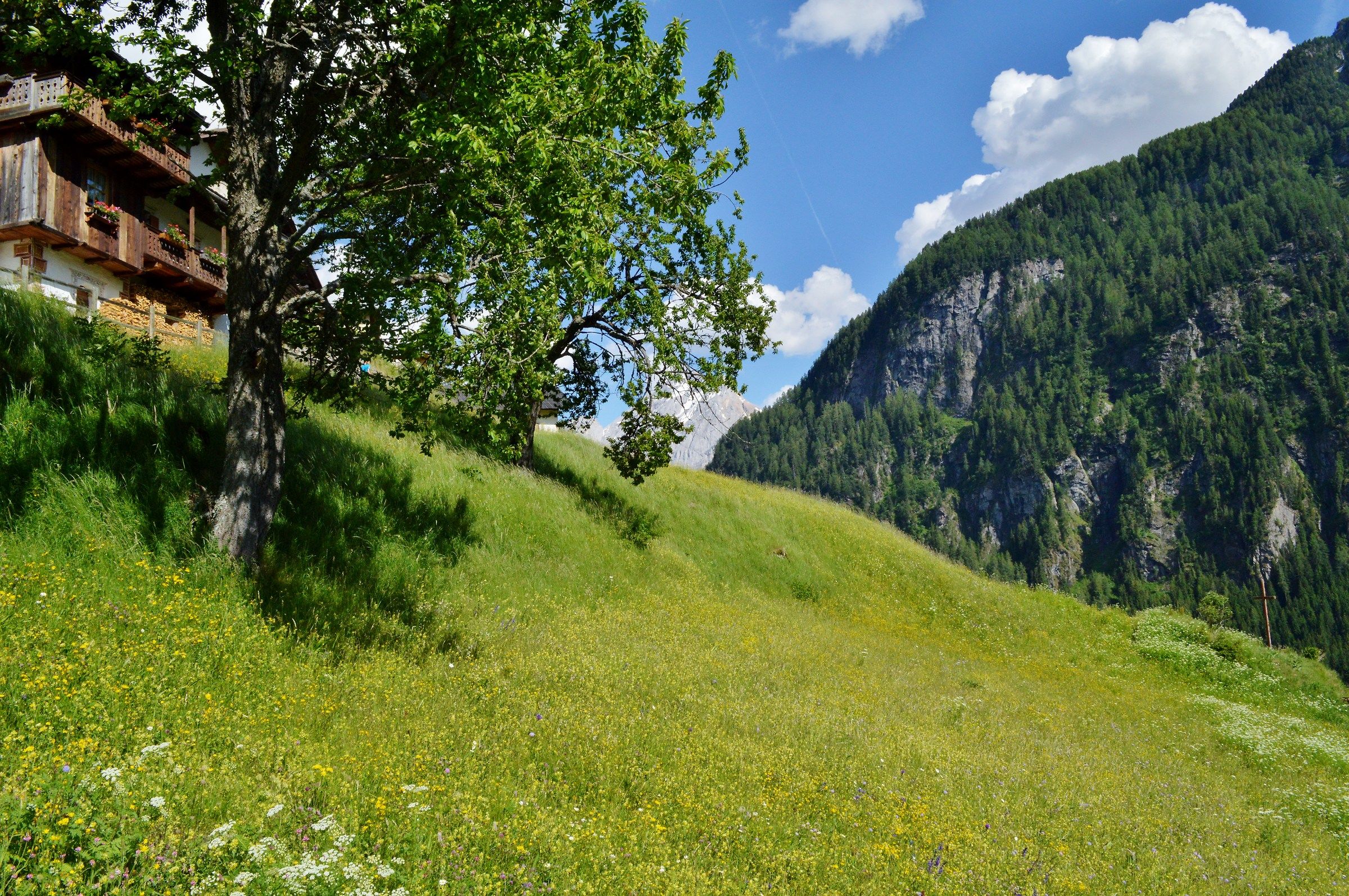 la montagna d'estate