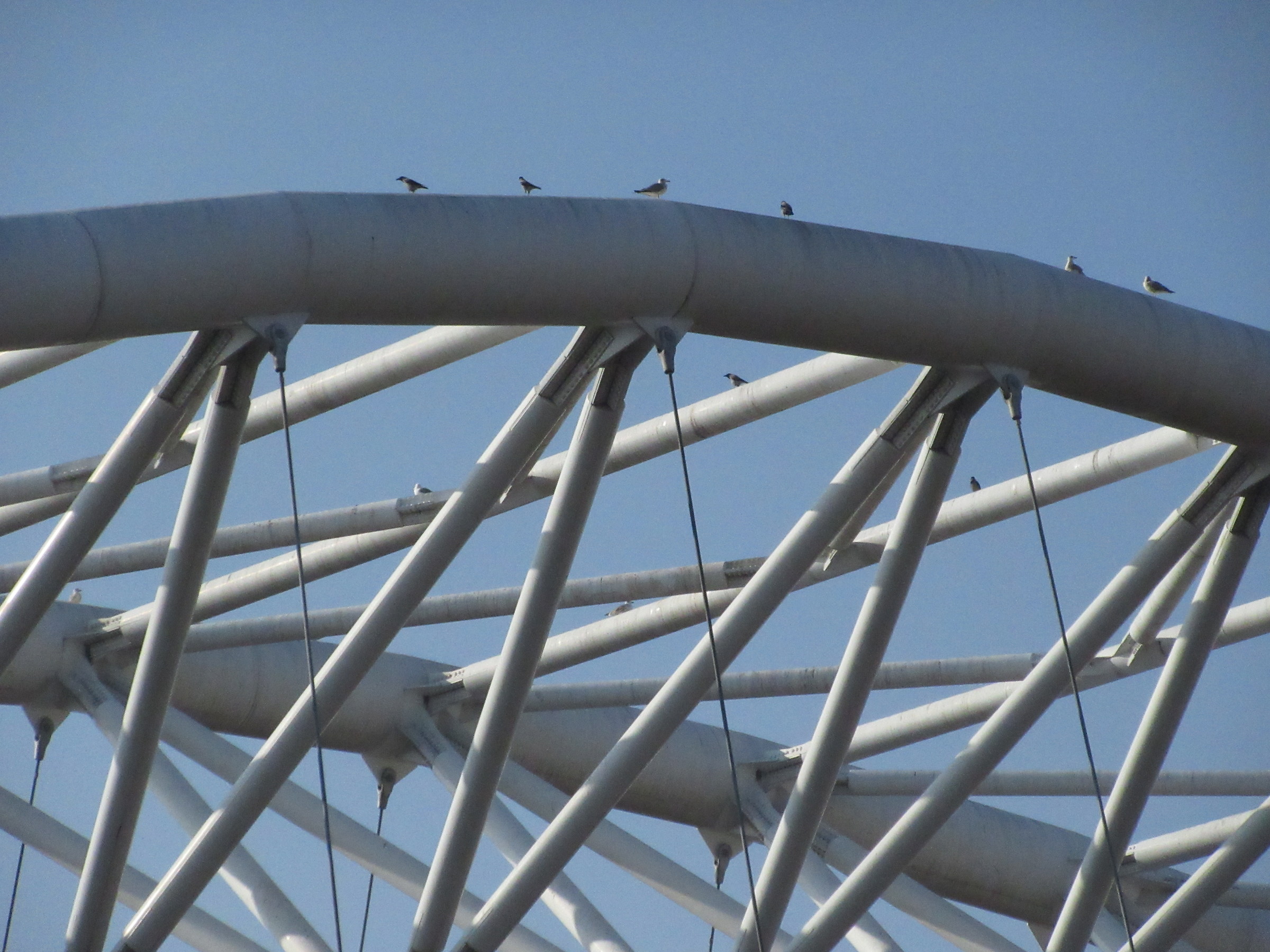 Cavalcavia Ostiense con annessi inquilini