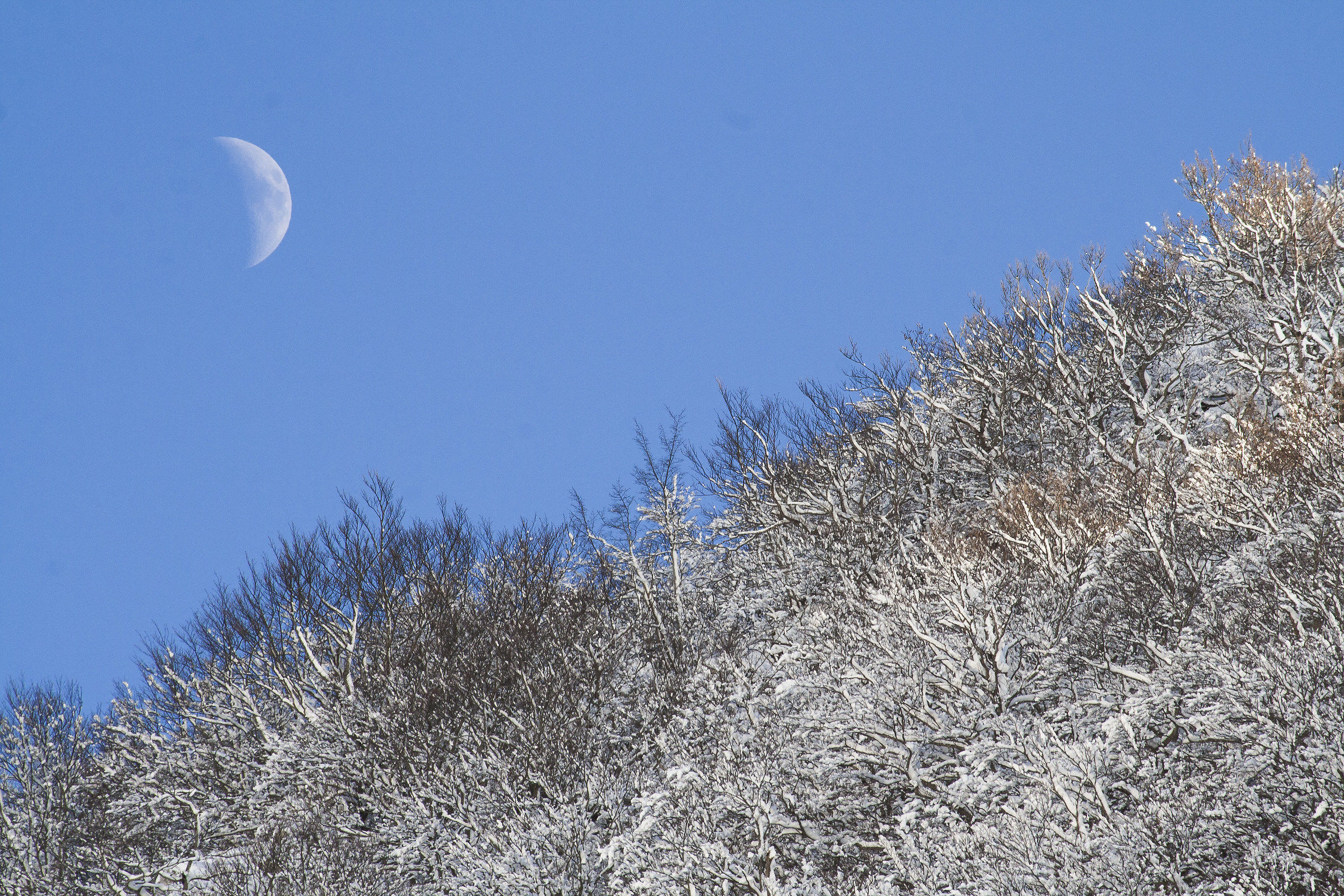 Moon and snow
