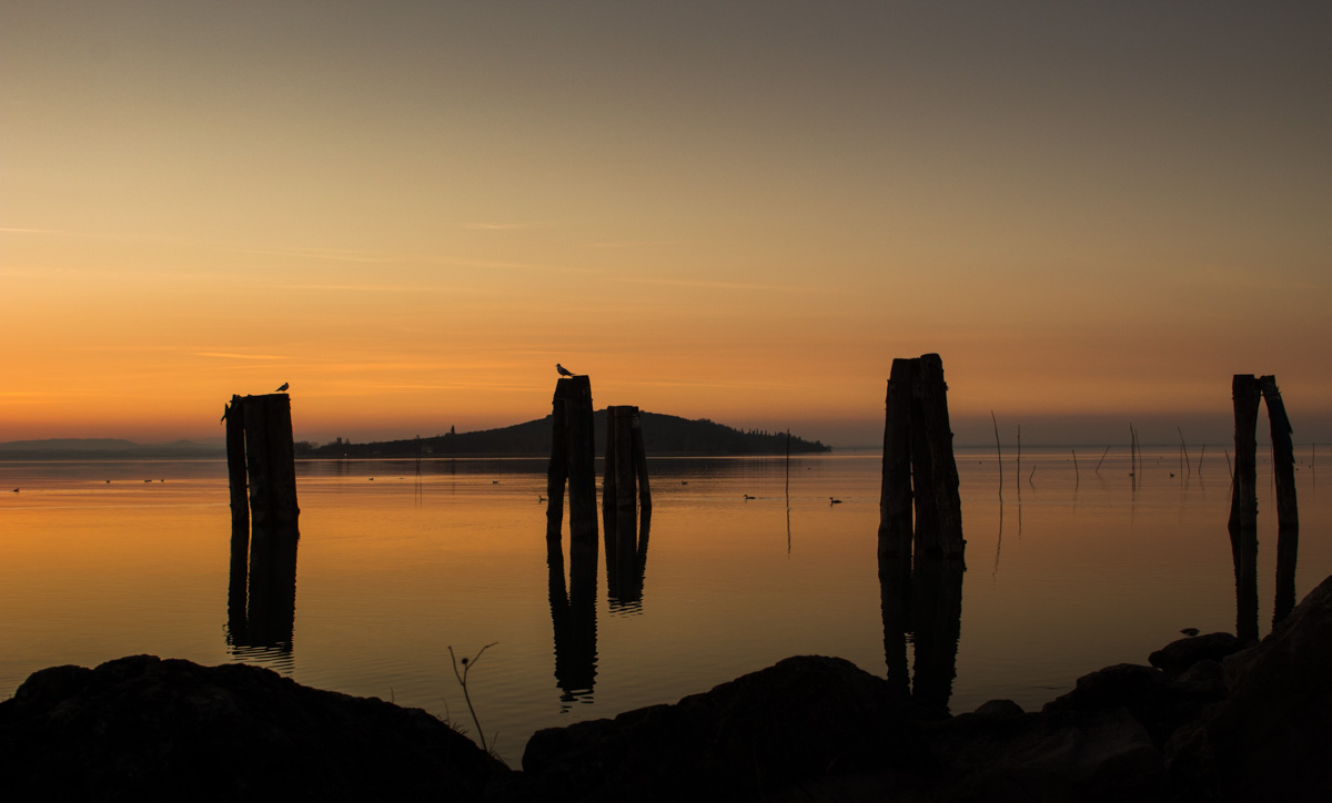 Trasimeno in sunset light