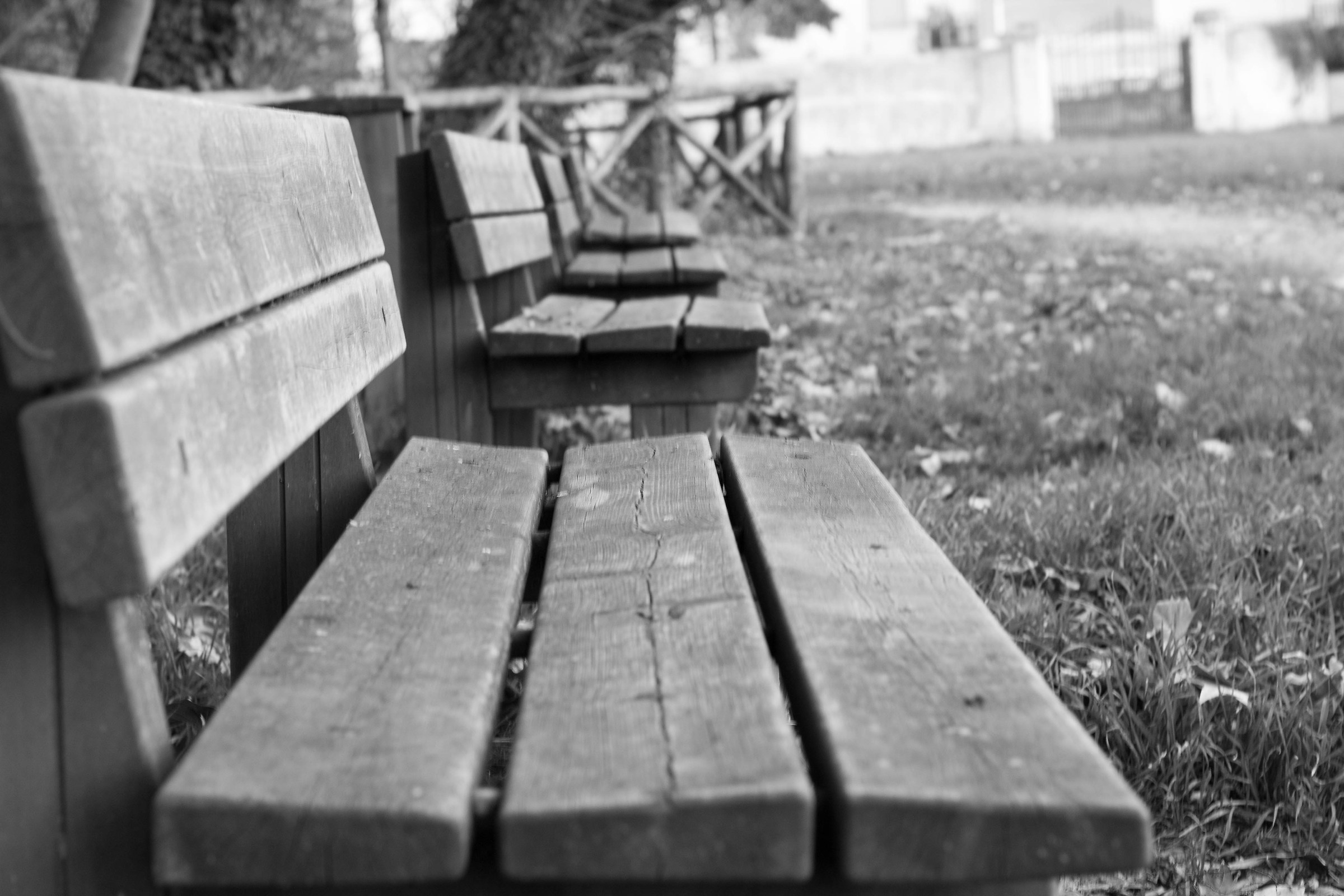 nearby benches