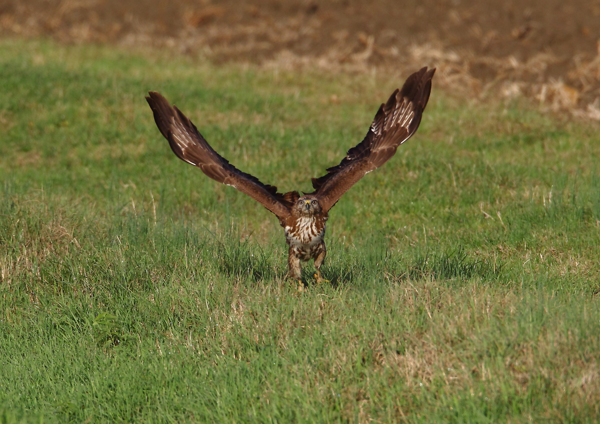 In sequence with takeoff