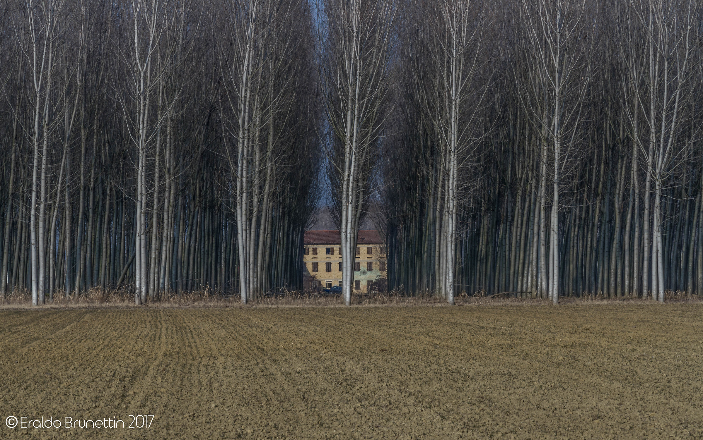 ....e la storia continua........