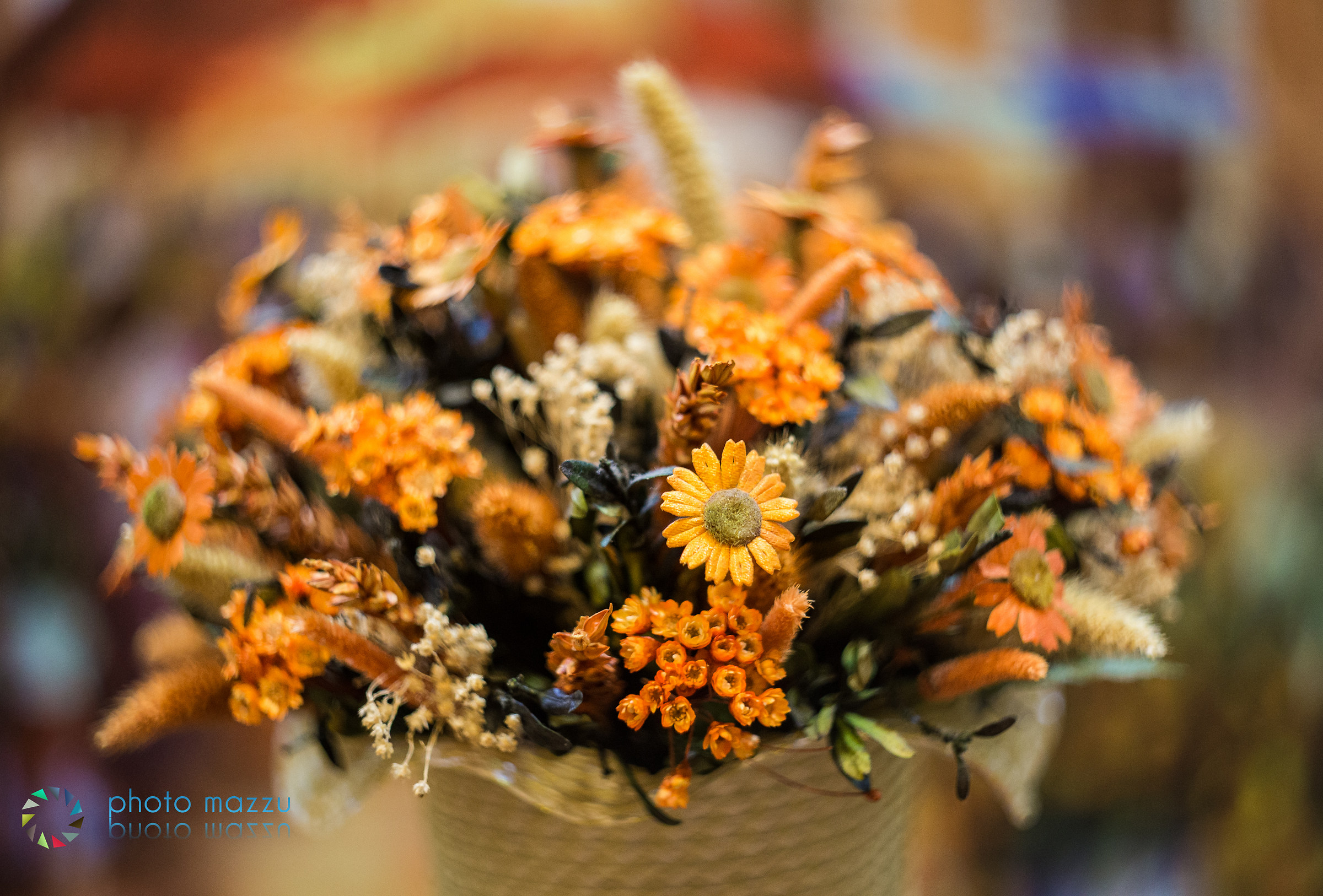 First click with the Helios 44-2