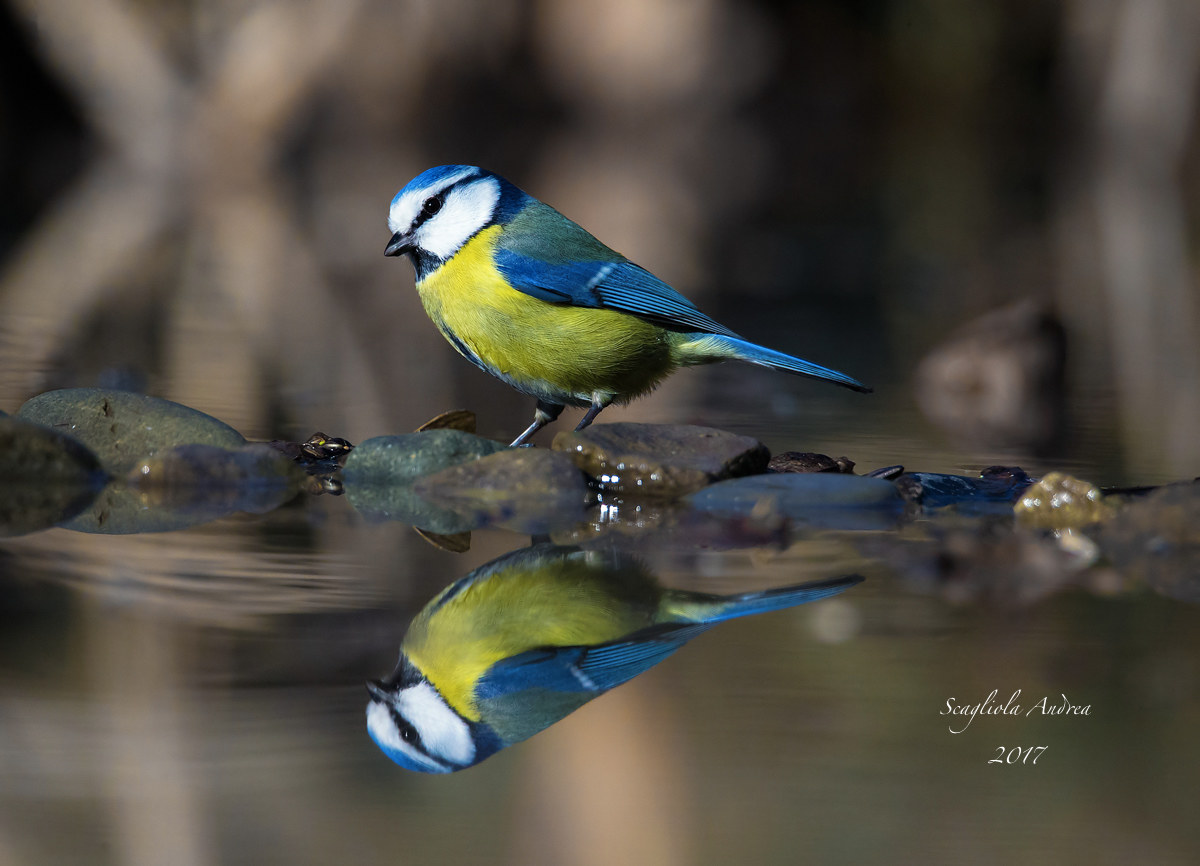 Reflection and relaxation