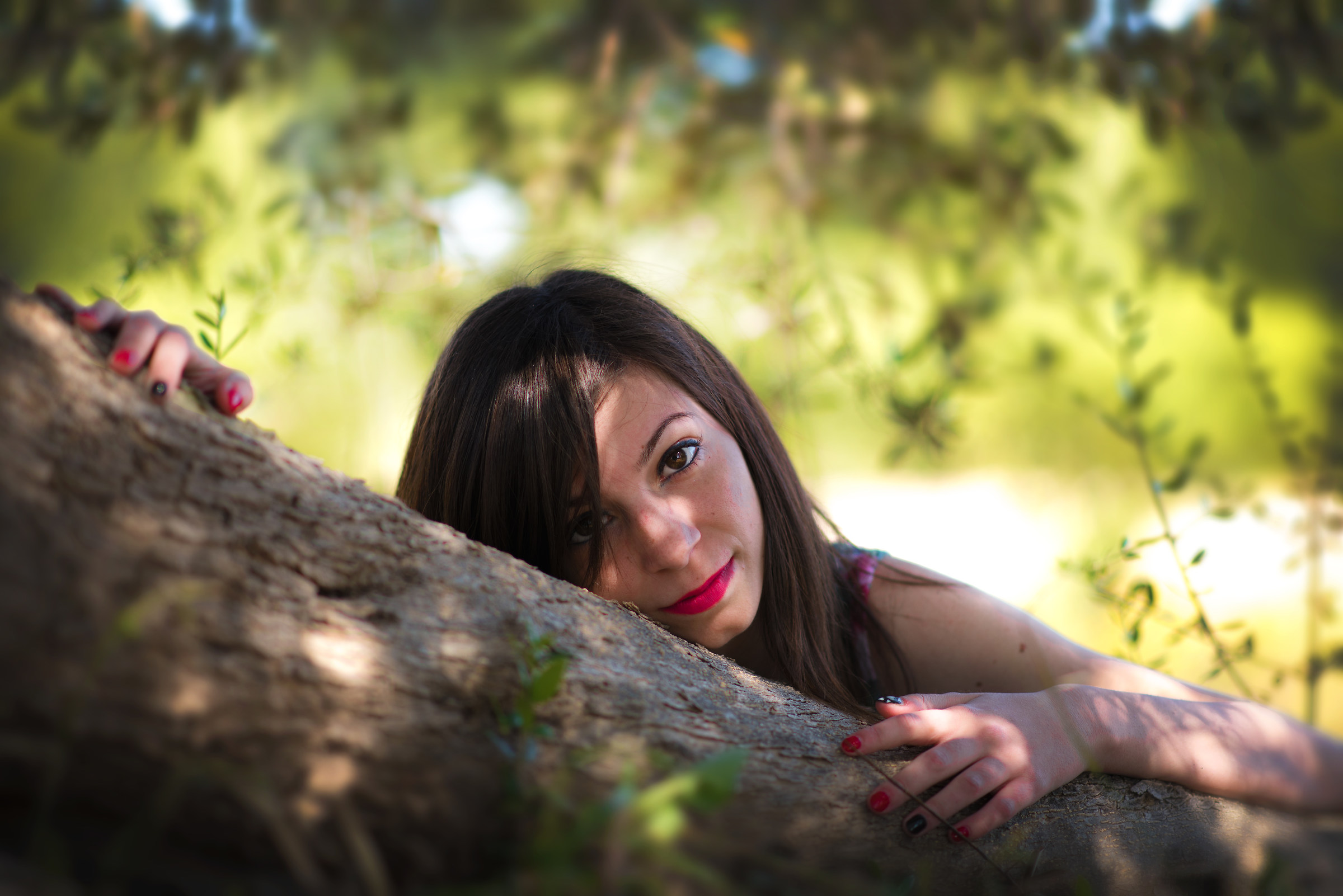 Alessandra el 'olive tree