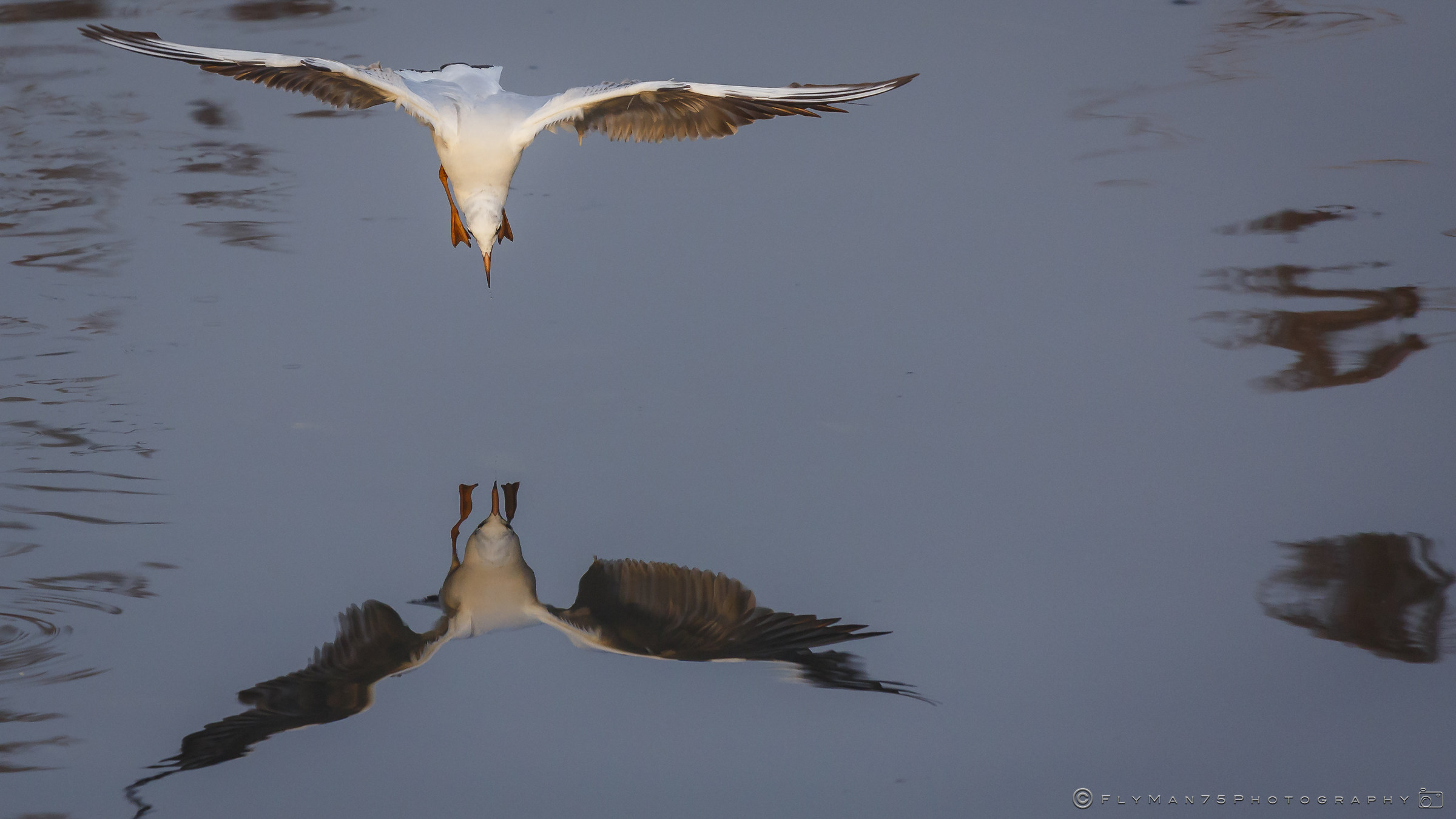Paratico (BS) Lake Iseo