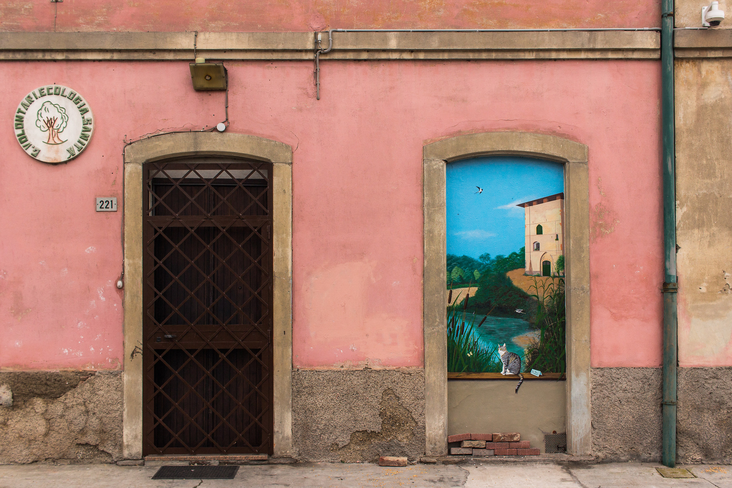 which one to choose?