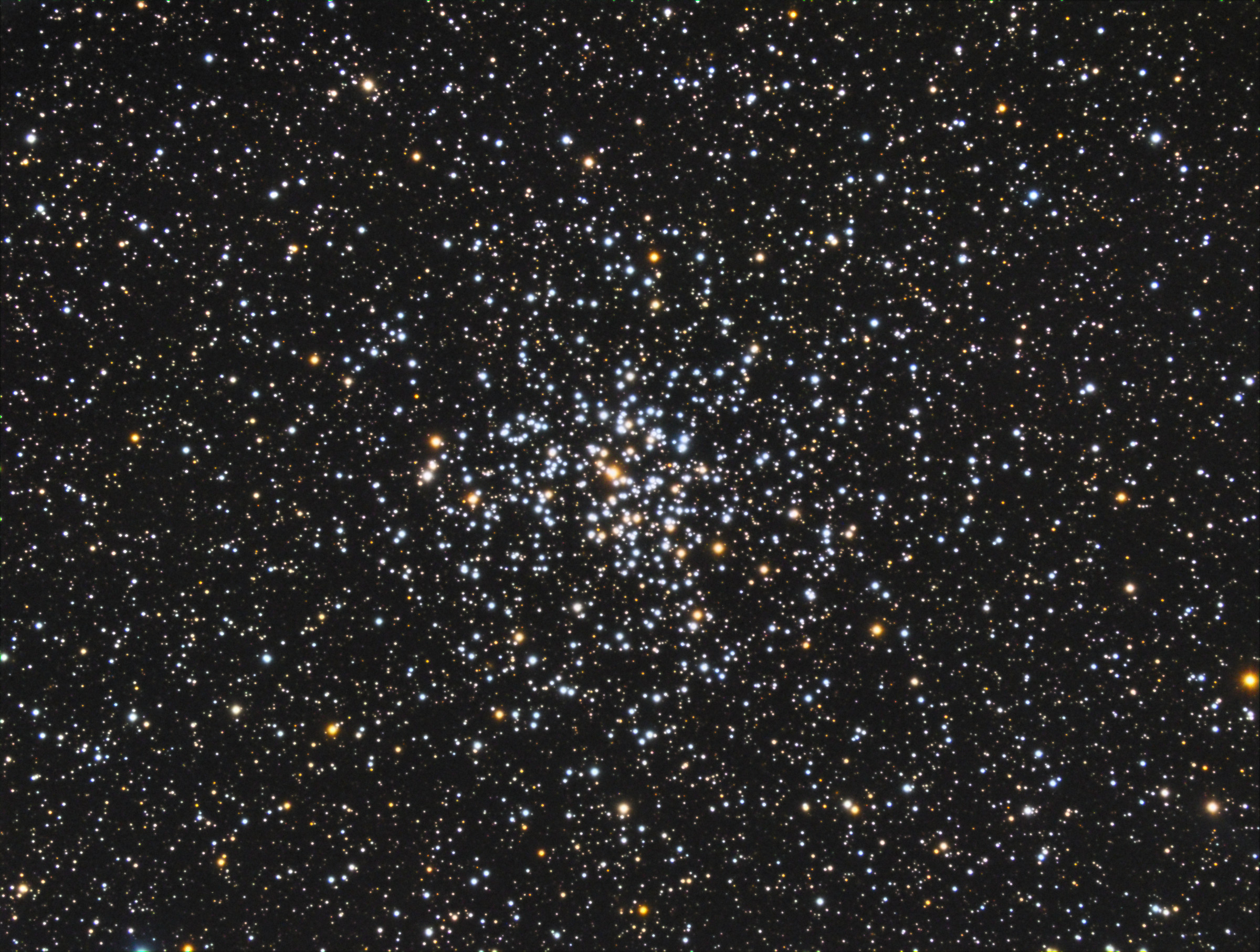 Ammasso M37 nella costellazione dell'Auriga