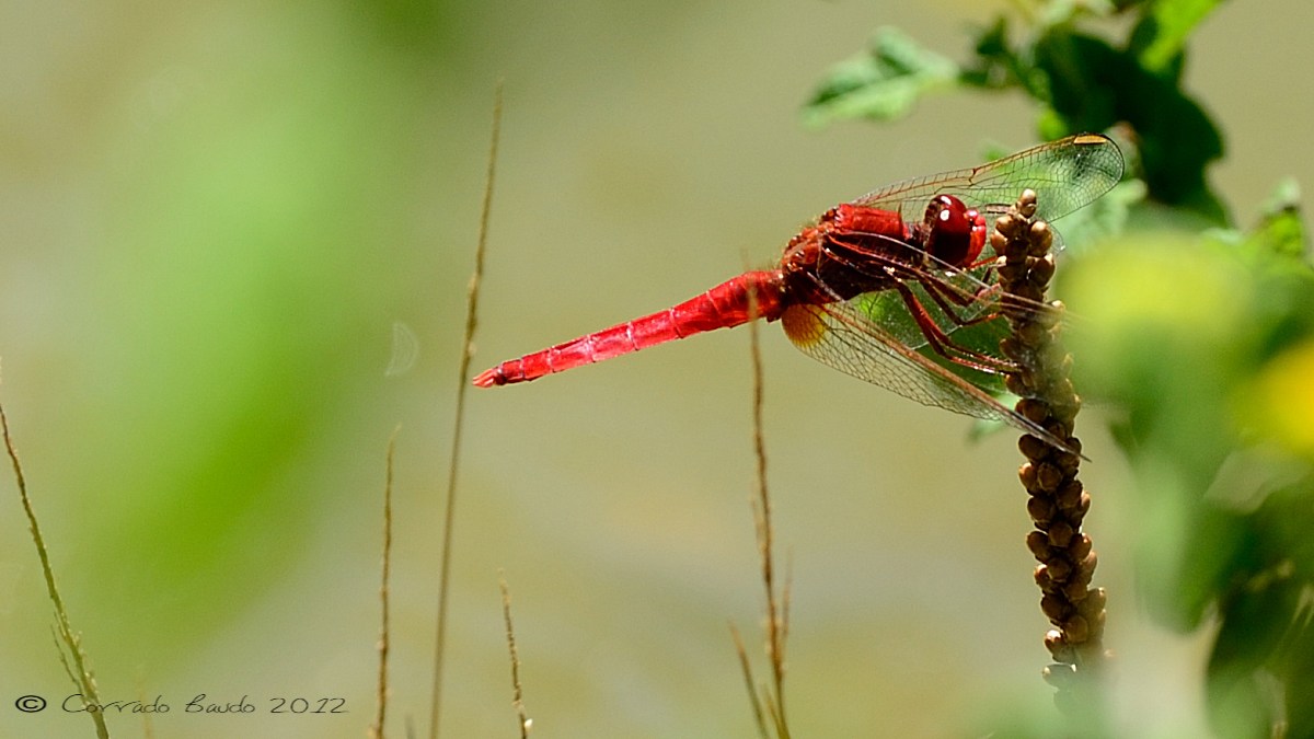 I have different tastes