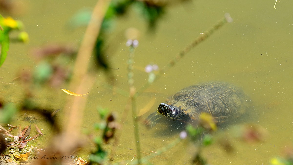 Who gives cleaned a little around here?