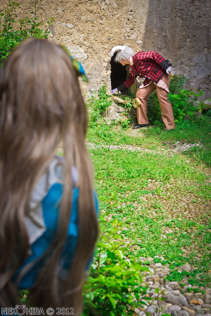 Seguendo il coniglio bianco