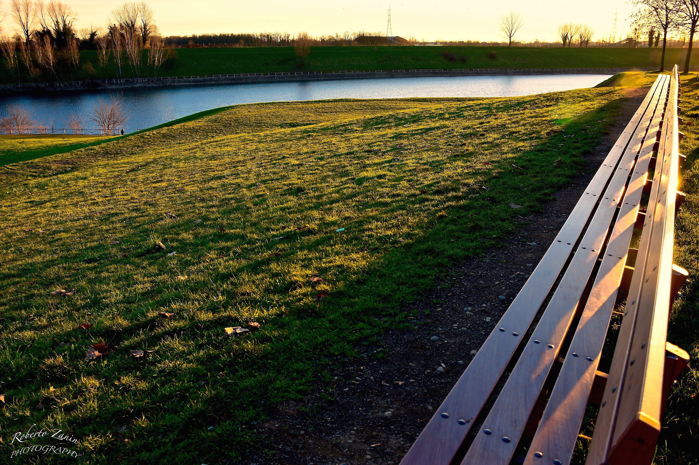 The long bench