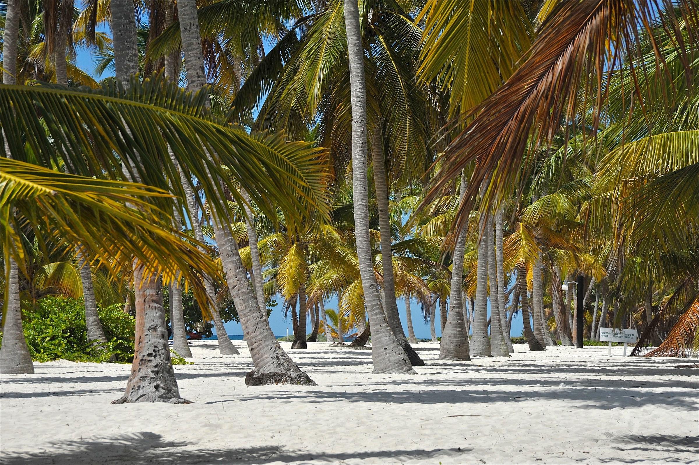 Saona Island
