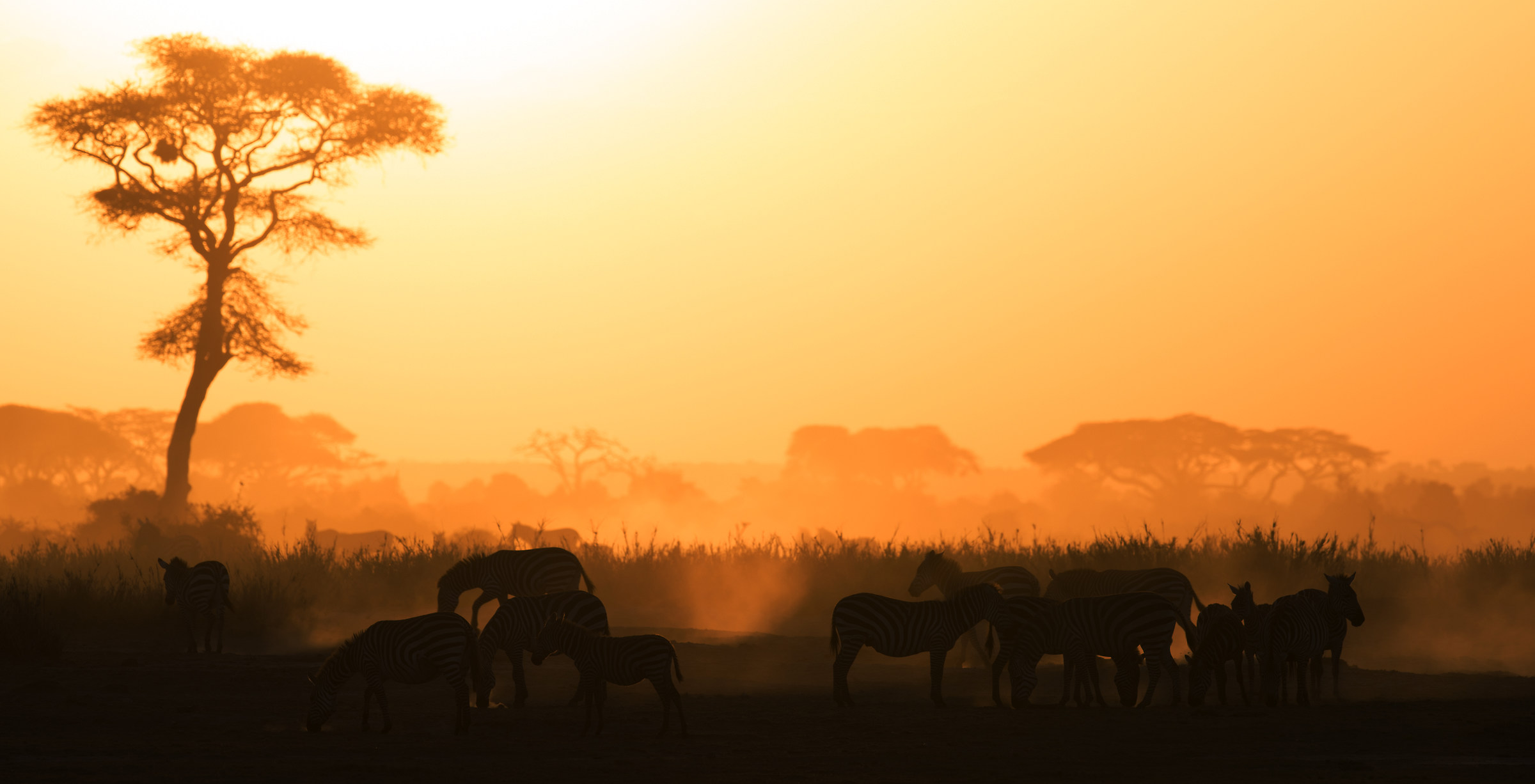 Skirmishes at sunset