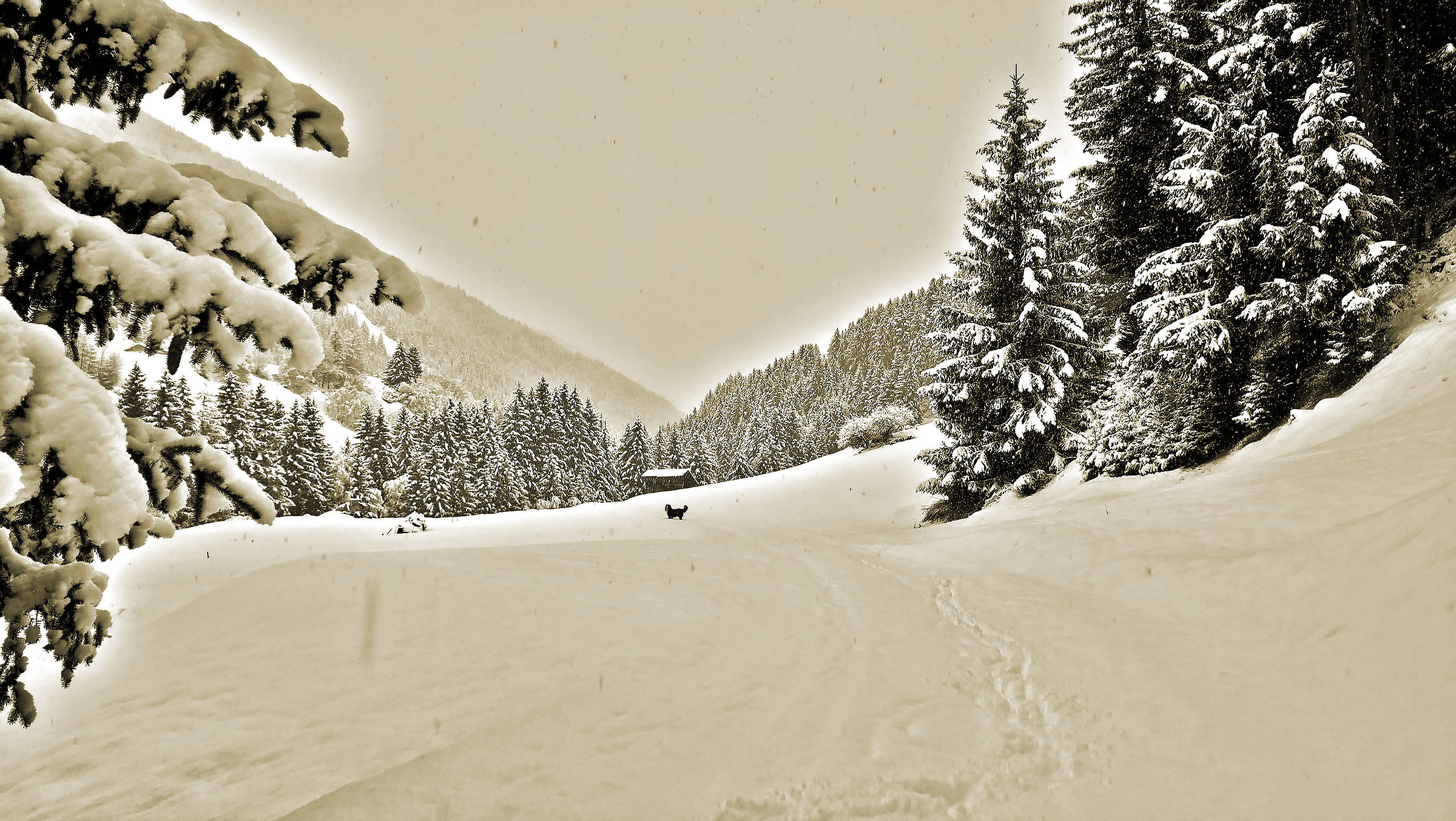 The first winter snow