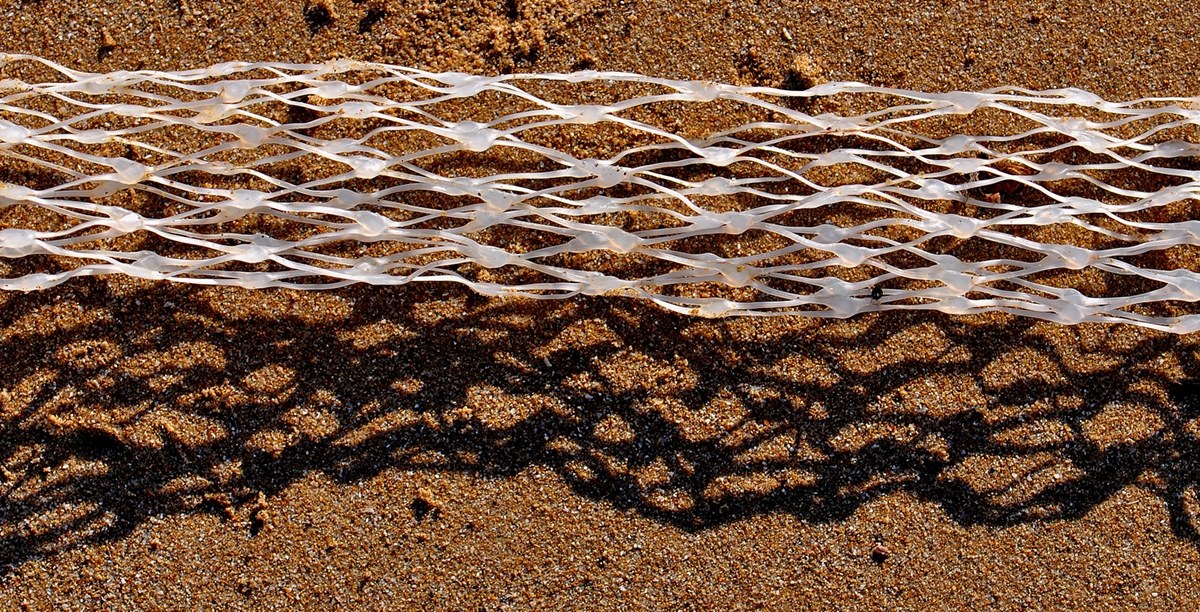 Formicaio nell' Ombra