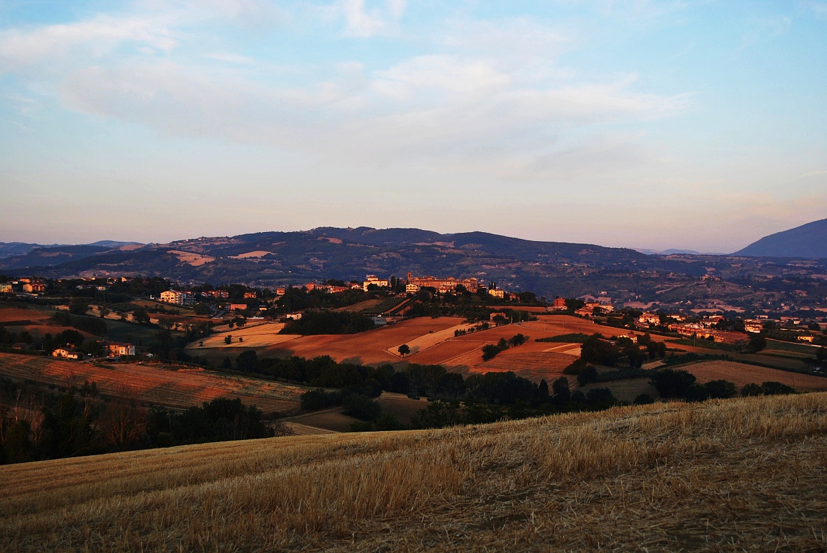 sulle colline di grano