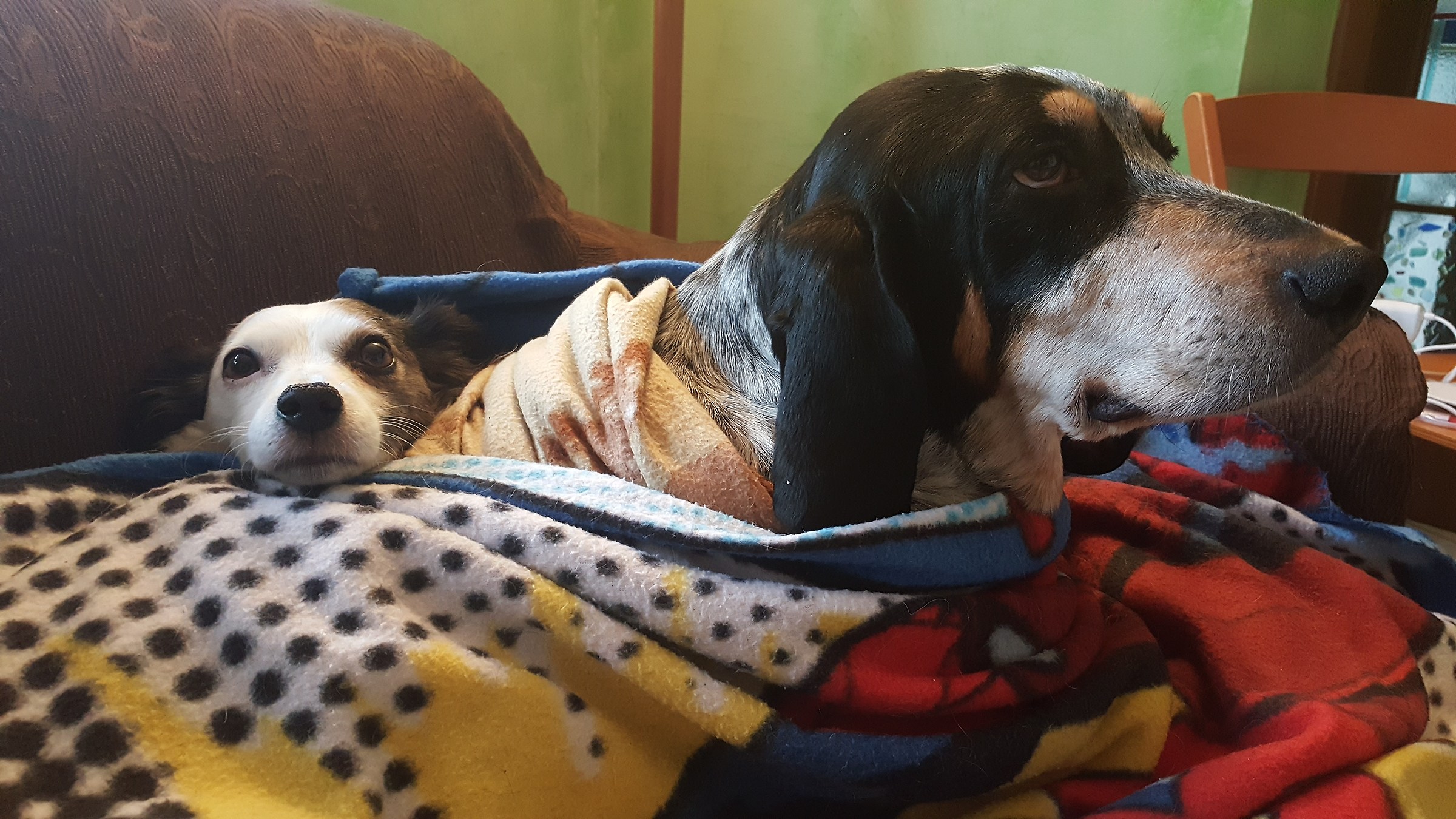 Dobbiamo stare vicini vicini