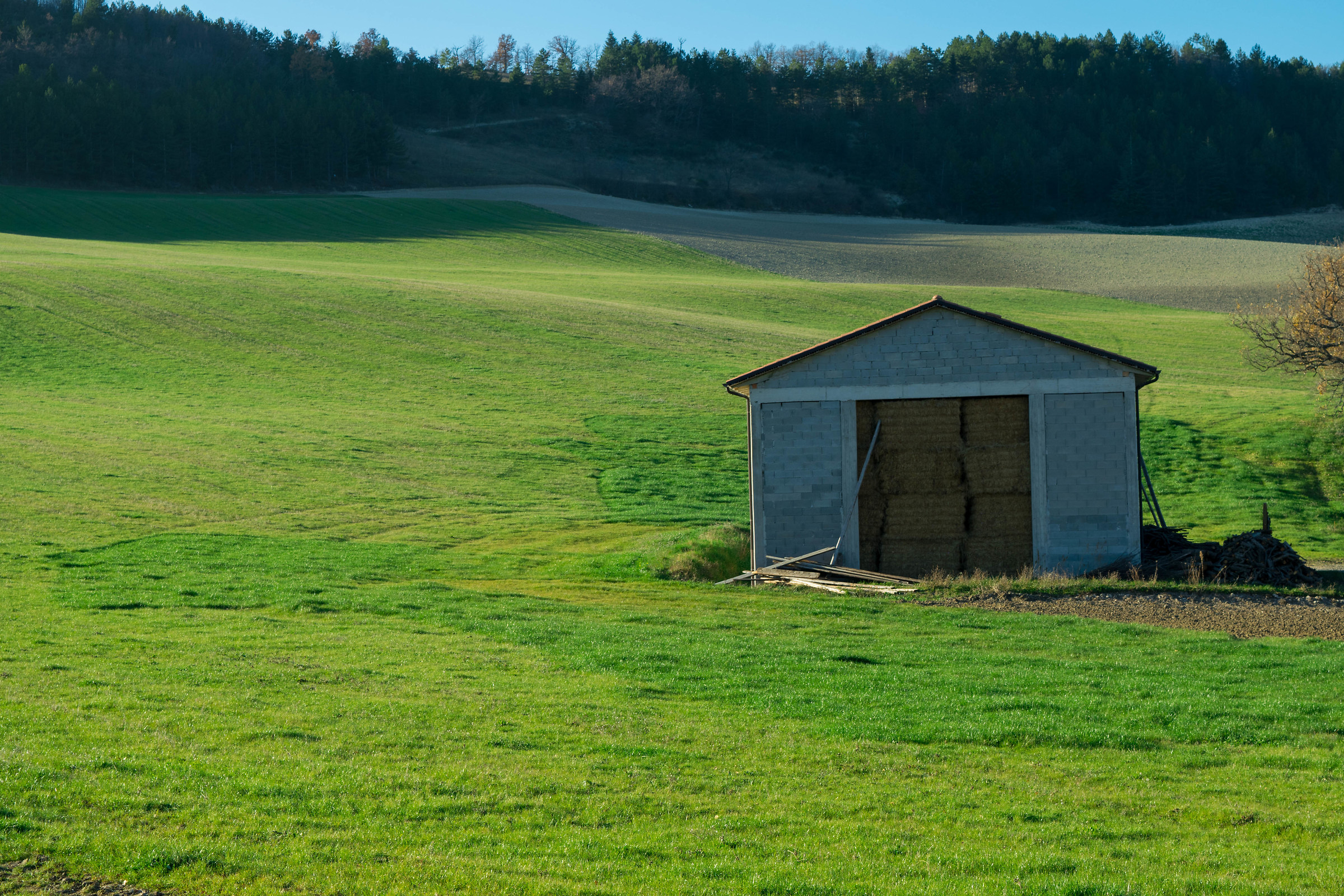We prepare the fields