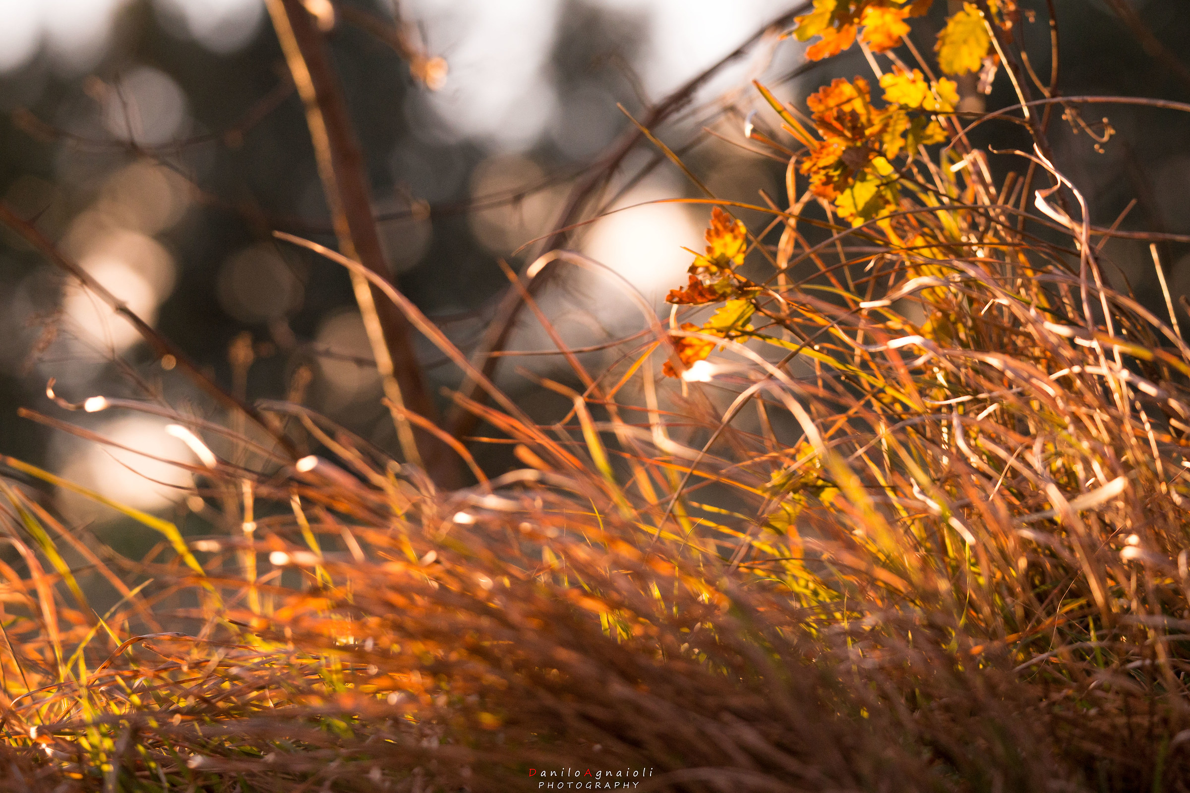 The icy north wind crept low