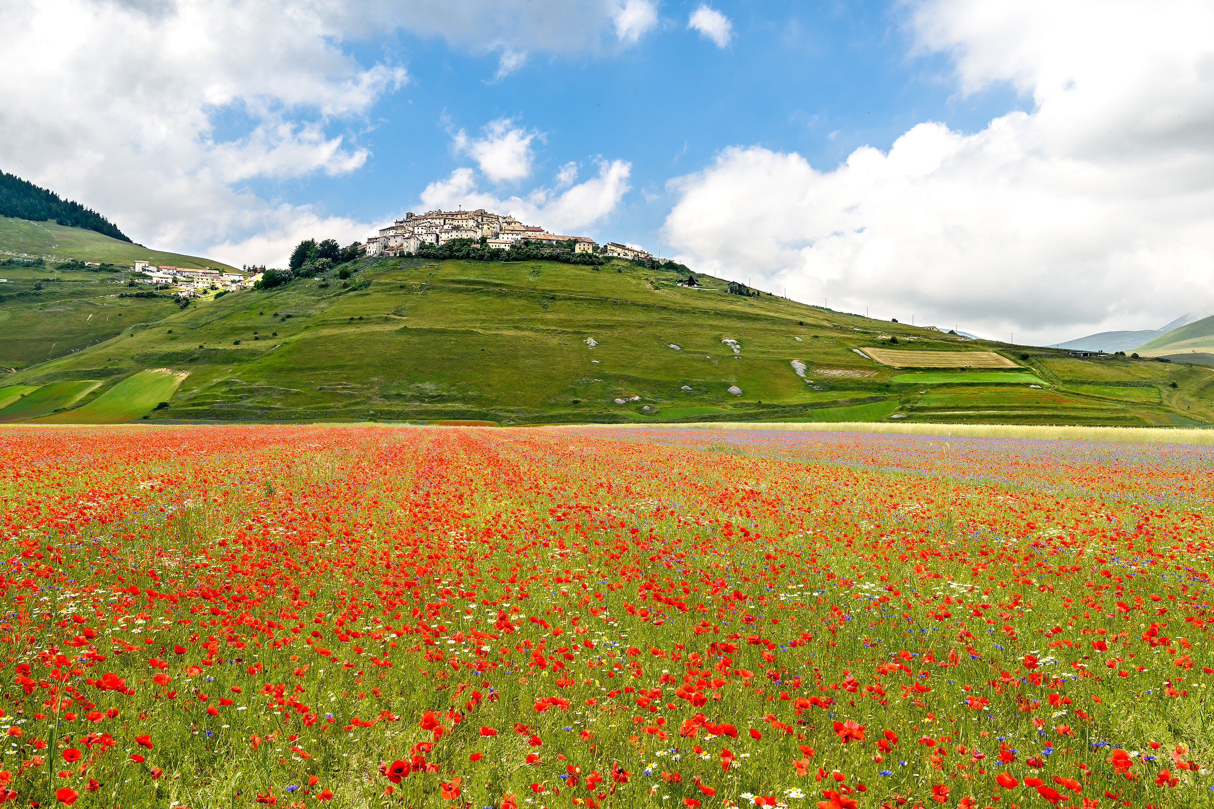 Castelluccio di Norcia
