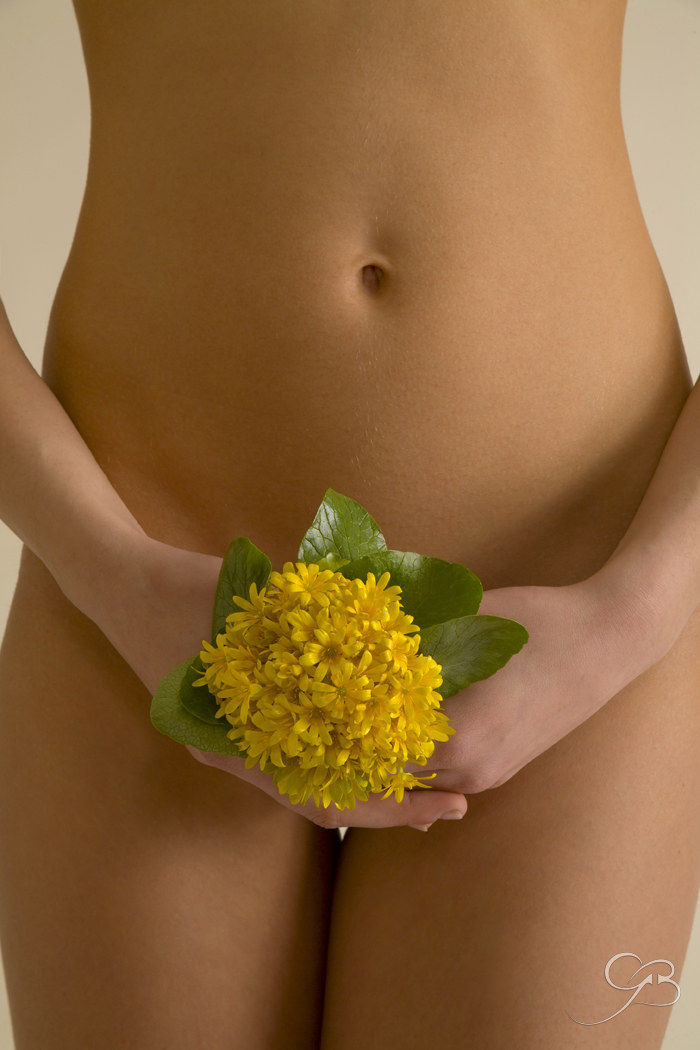 Ficaria (Honi soit qui mal y pense)