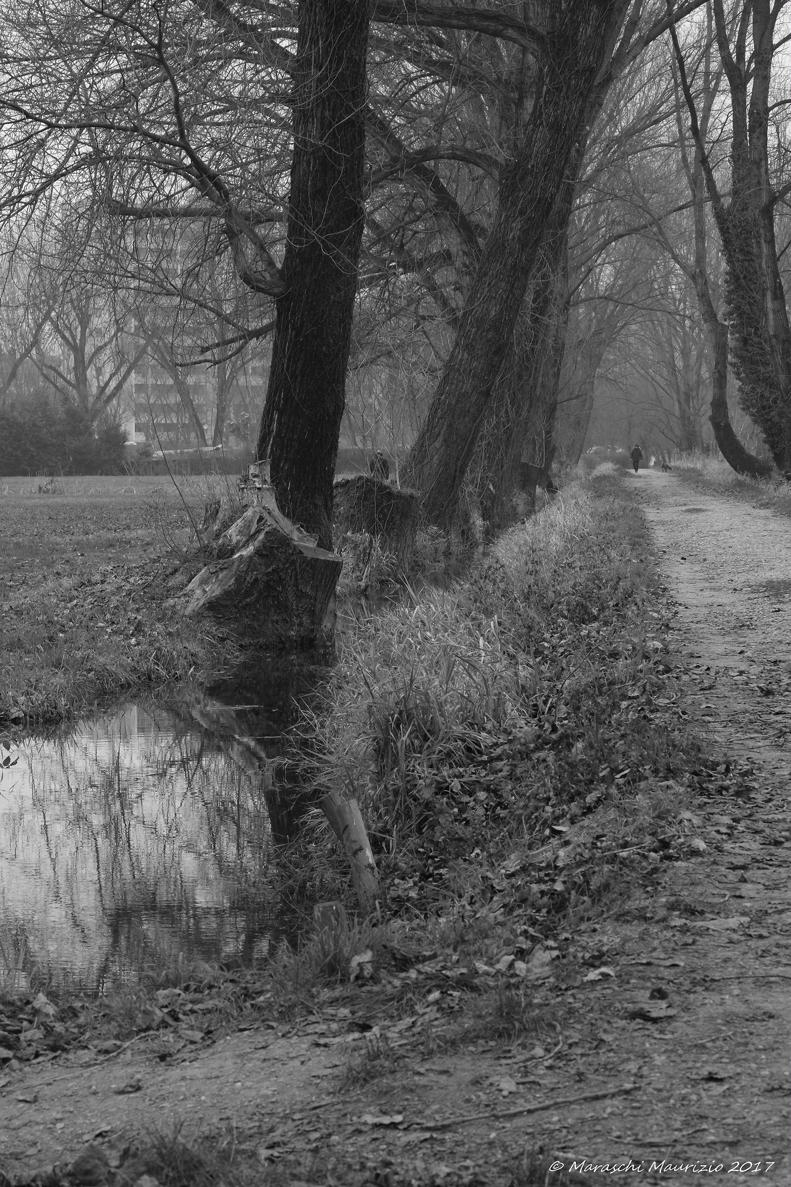 Walk in the park of Ticinello