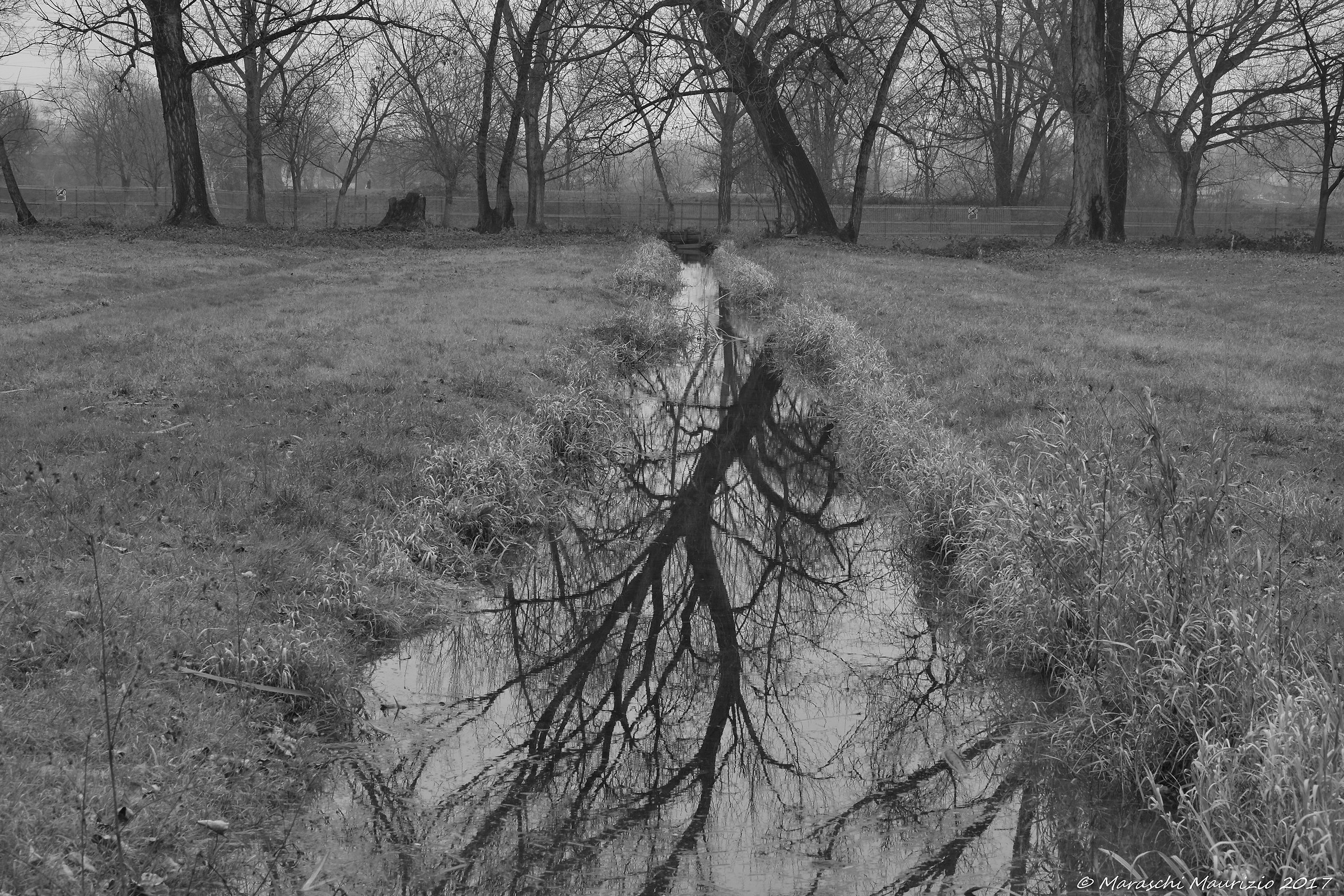 Rotted in the Park of Ticinello