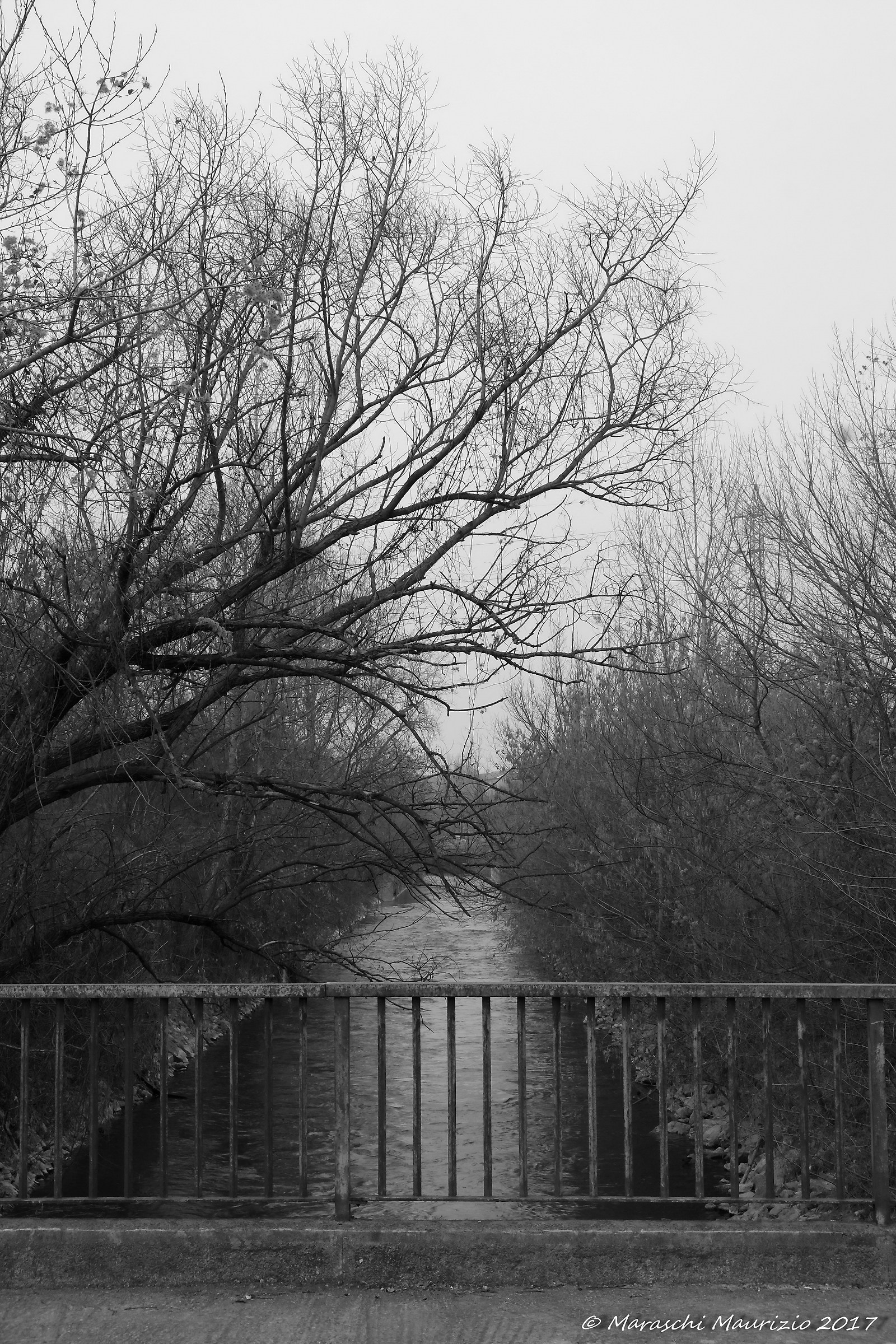 Southern River Lambro