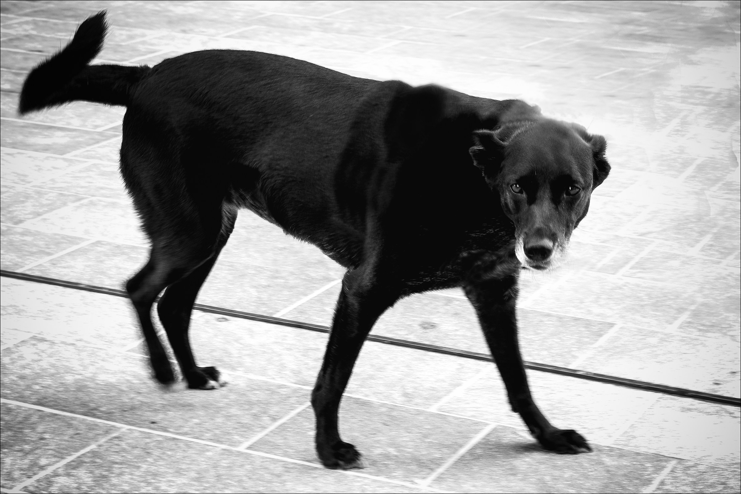 Omaggio a Steve McCurry...