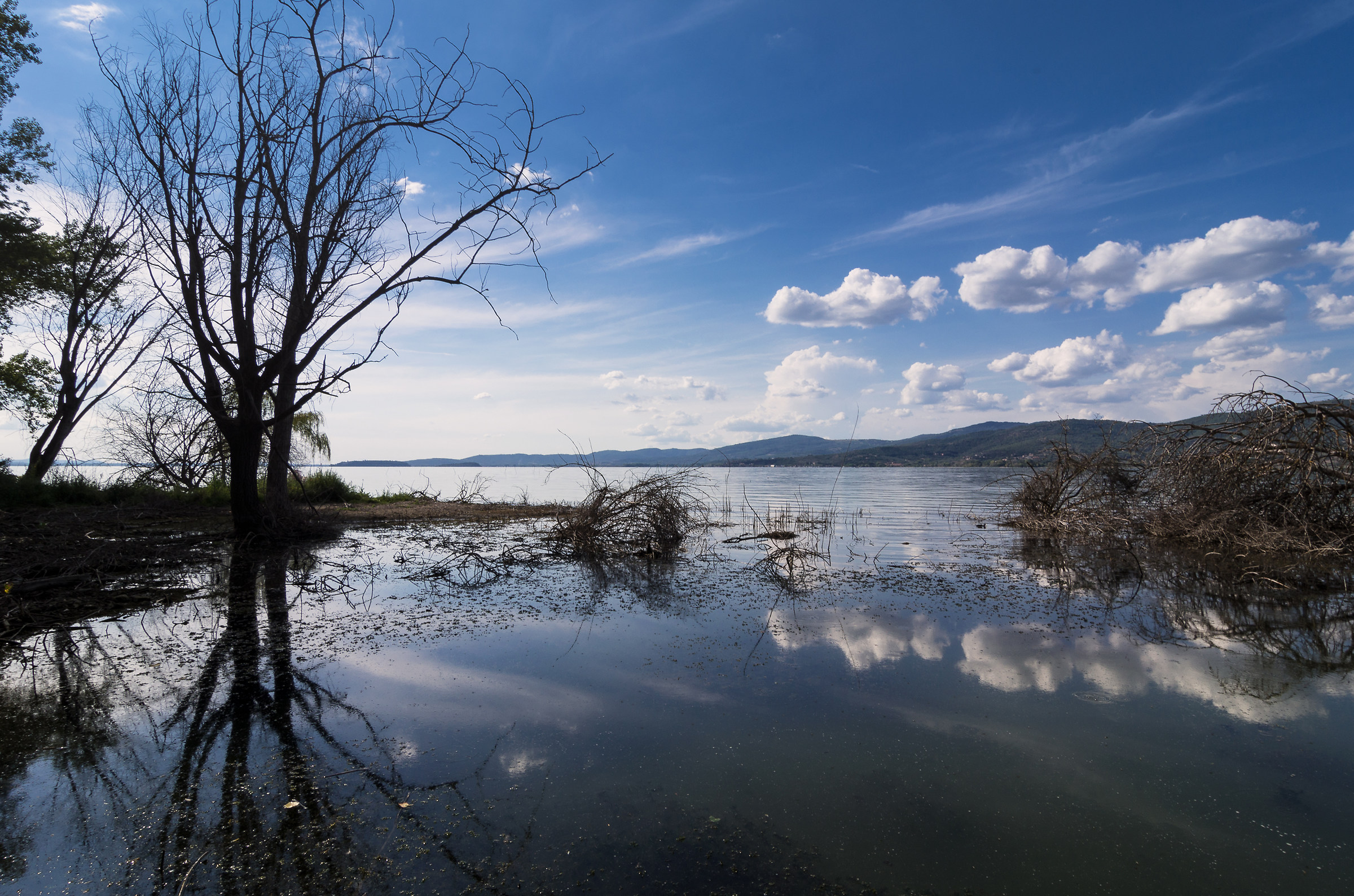 alla fine mi rifletto