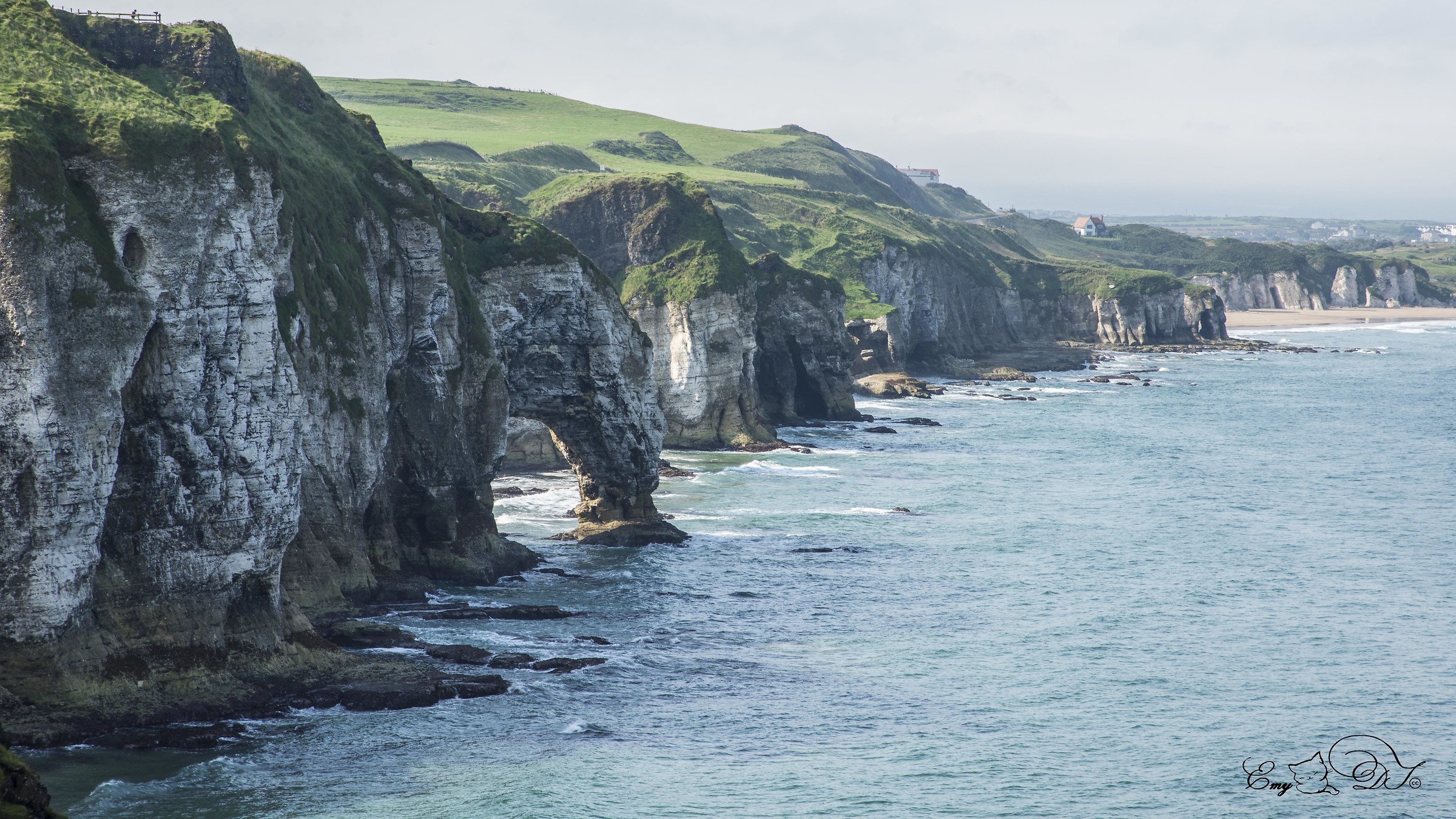 The cathedrals of the sea