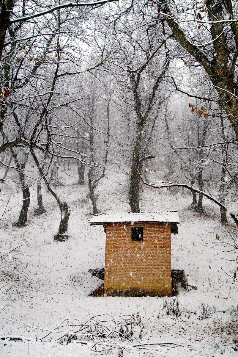 Il capanno degli attrezzi