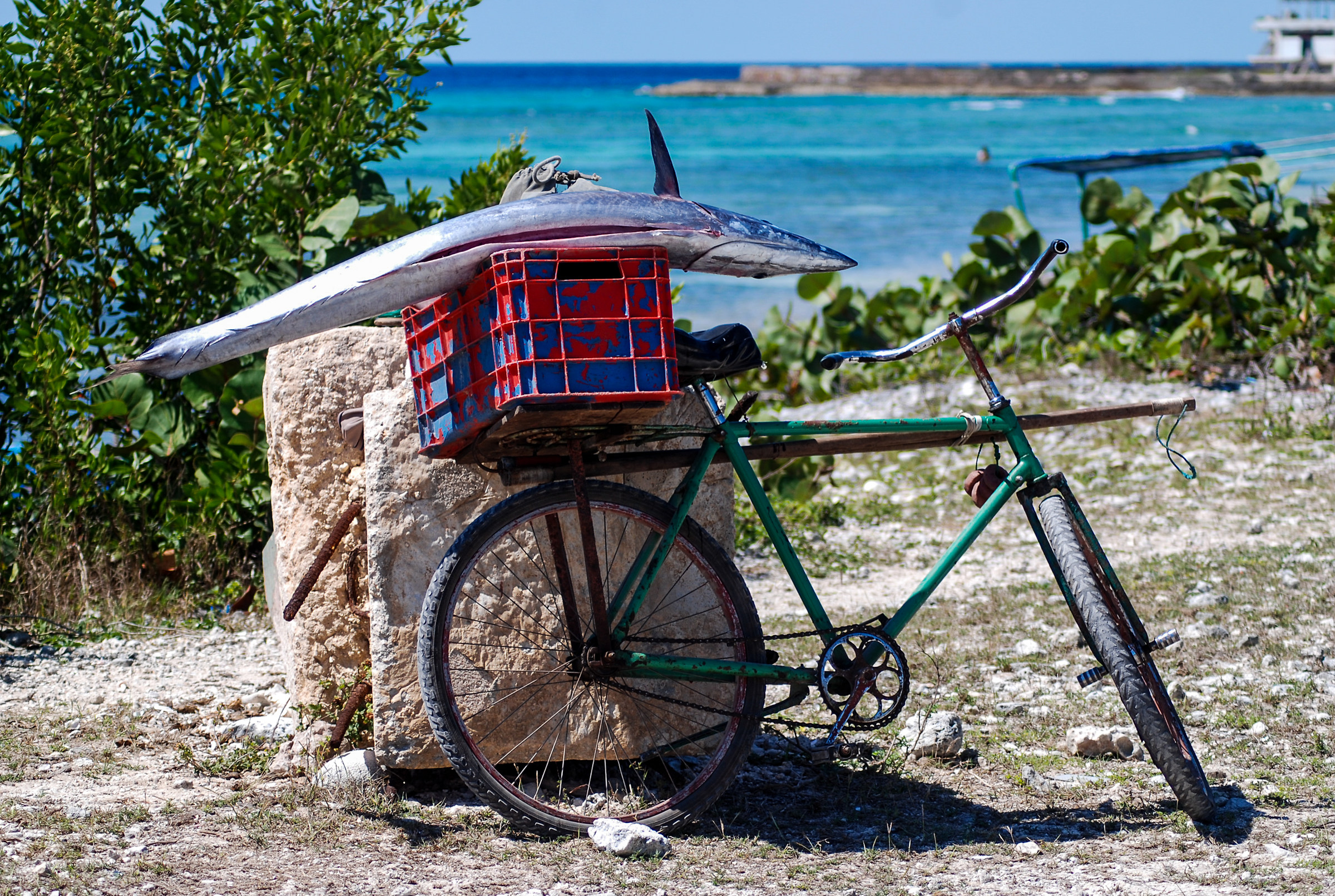 Ora si torna a casa.. (Cuba)