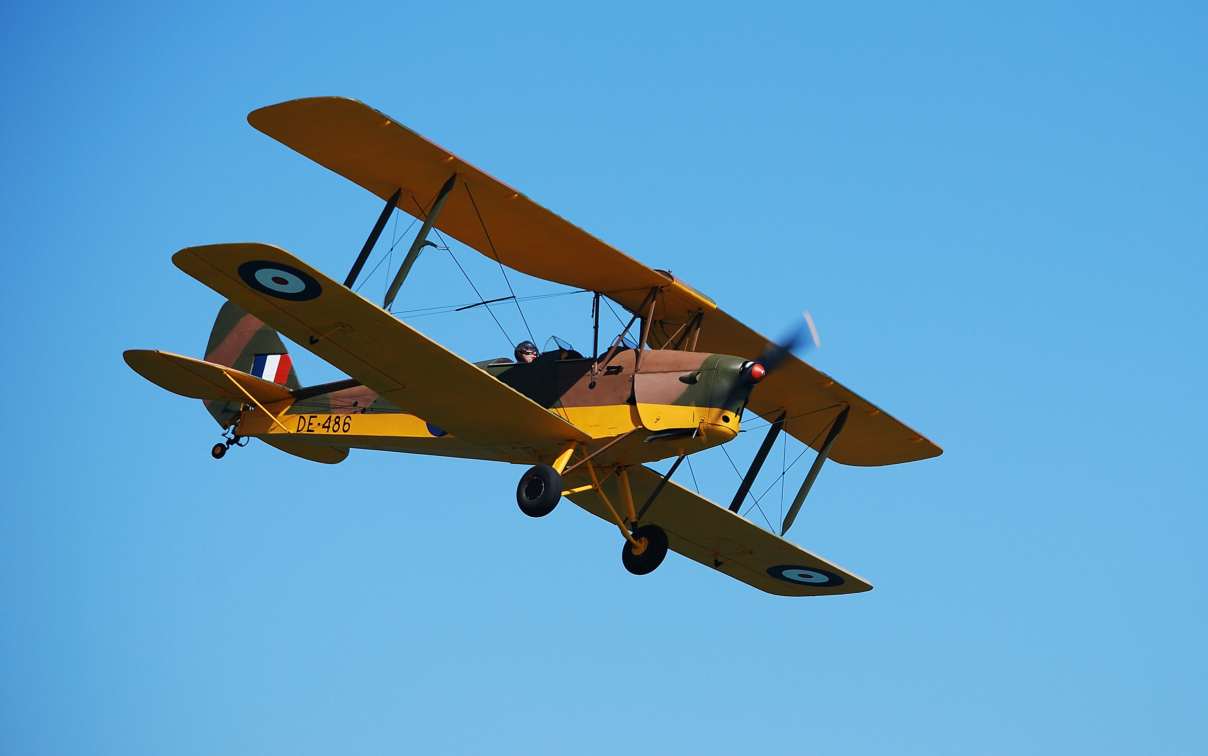 Tiger Moth