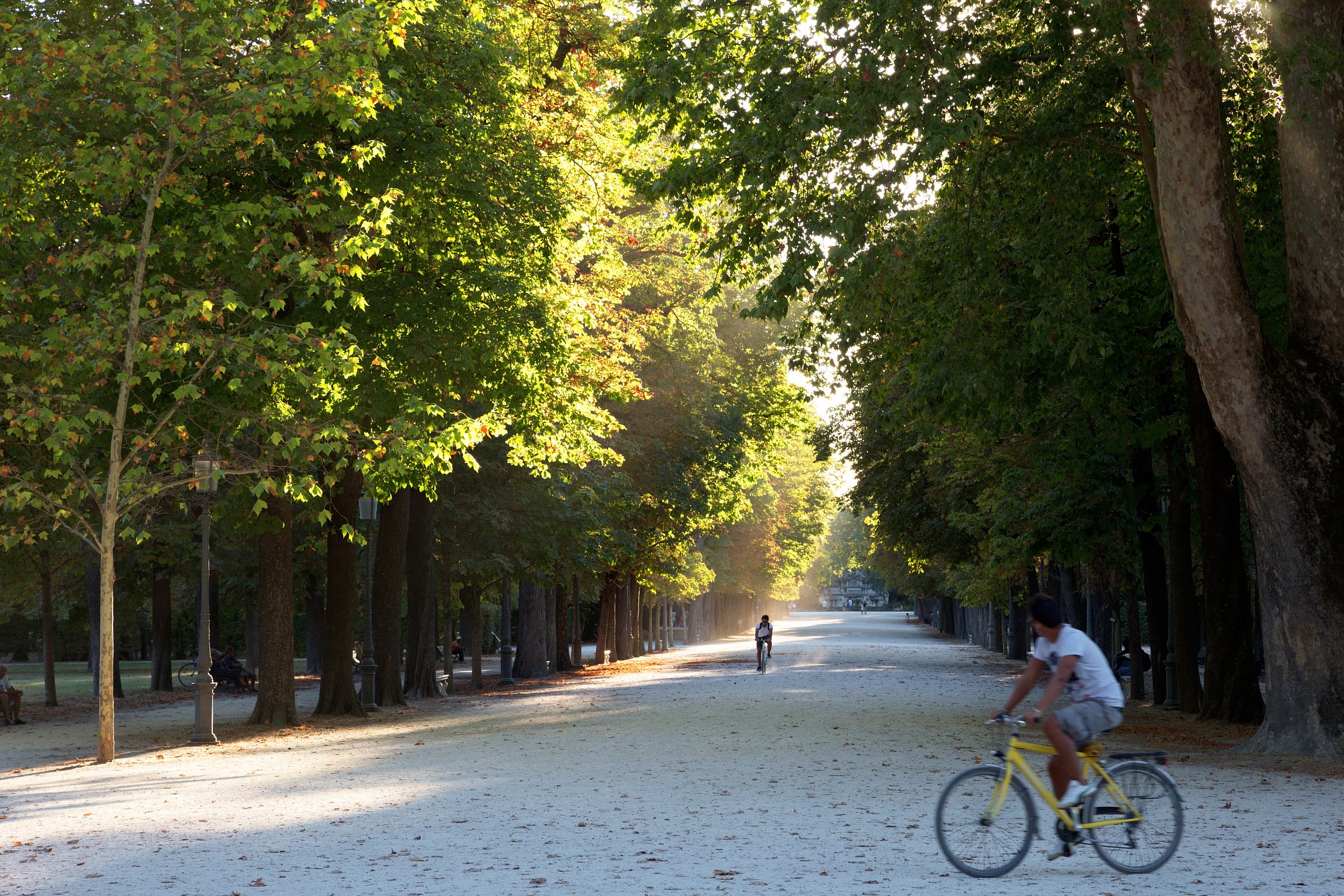 Photos of tests, Canon 1DX at ISO 800