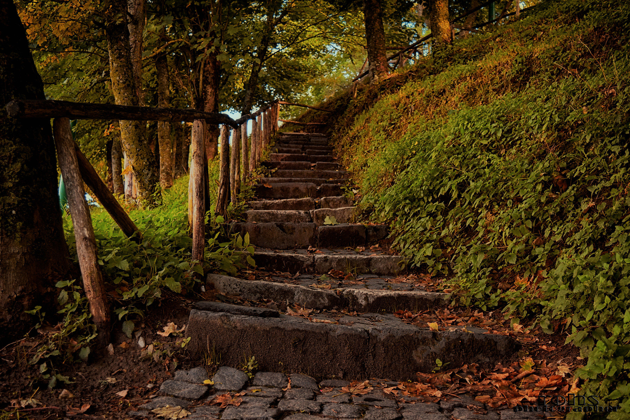 Autumn Stairs