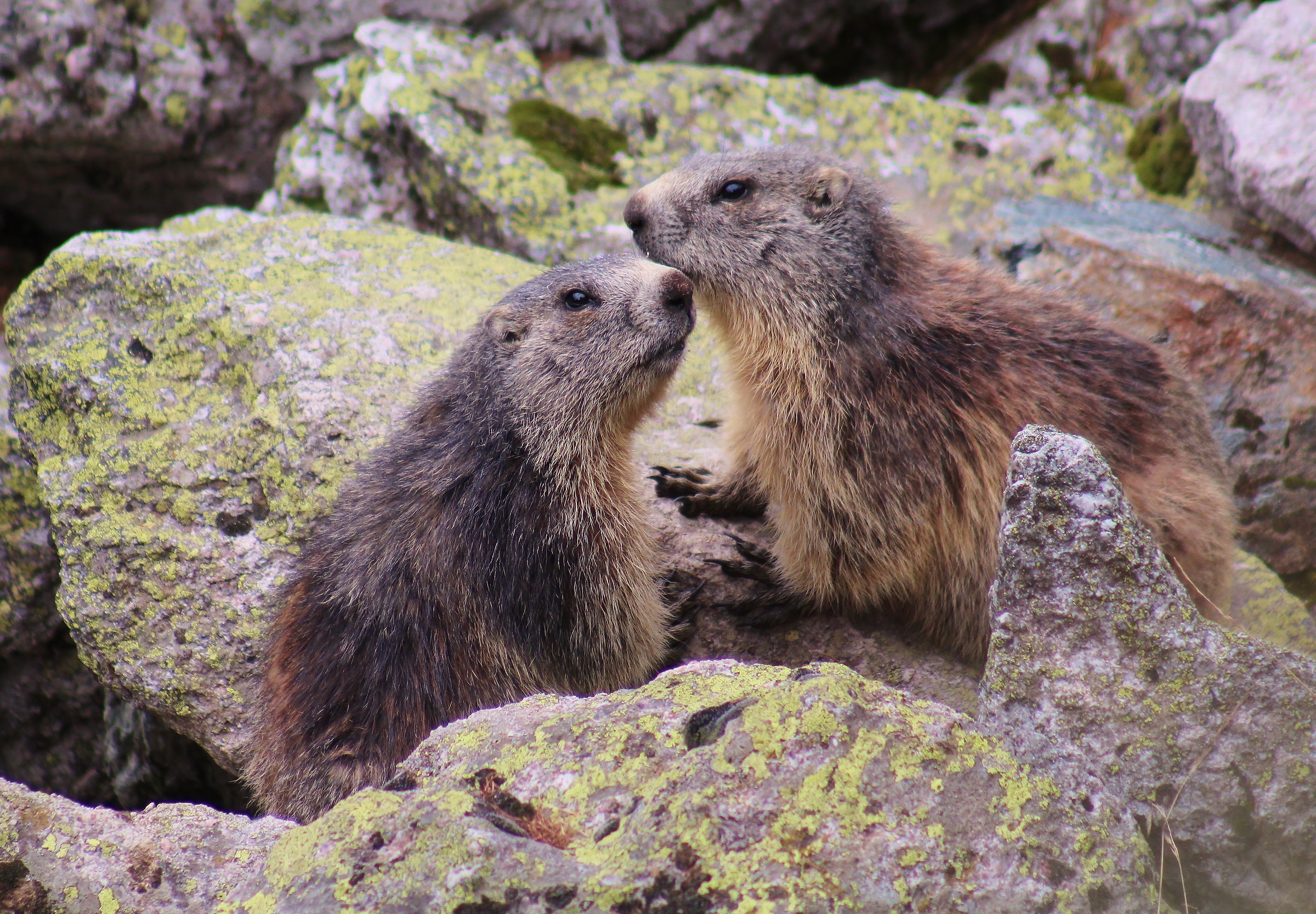 we must be close-close ....